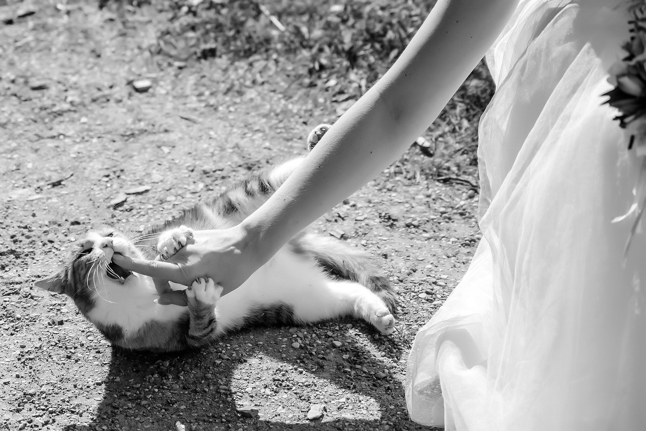 Ērika un Leonīds. Ваш фотограф в Латгалии — Александра Юхневича!