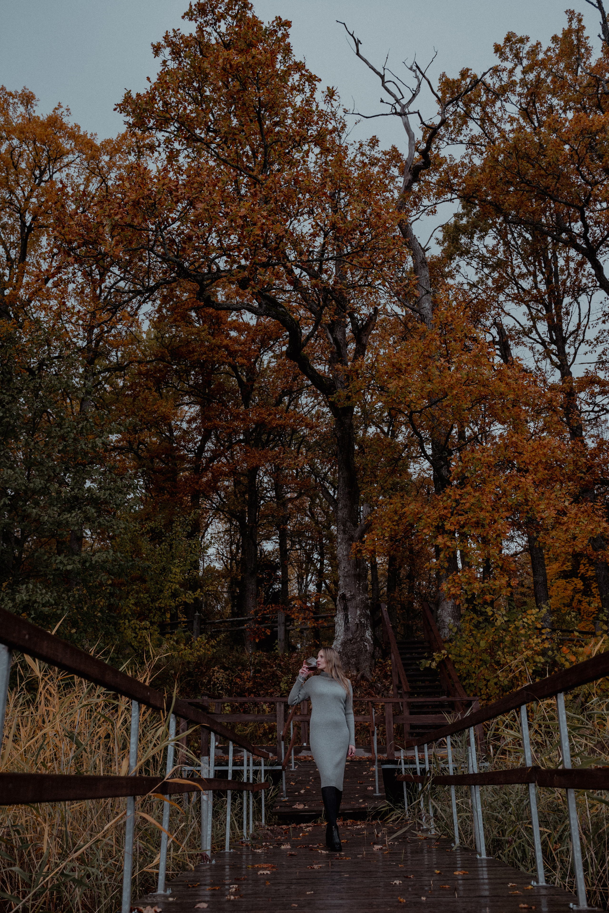 Истина в вине?. Ваш фотограф в Латгалии — Александра Юхневича!