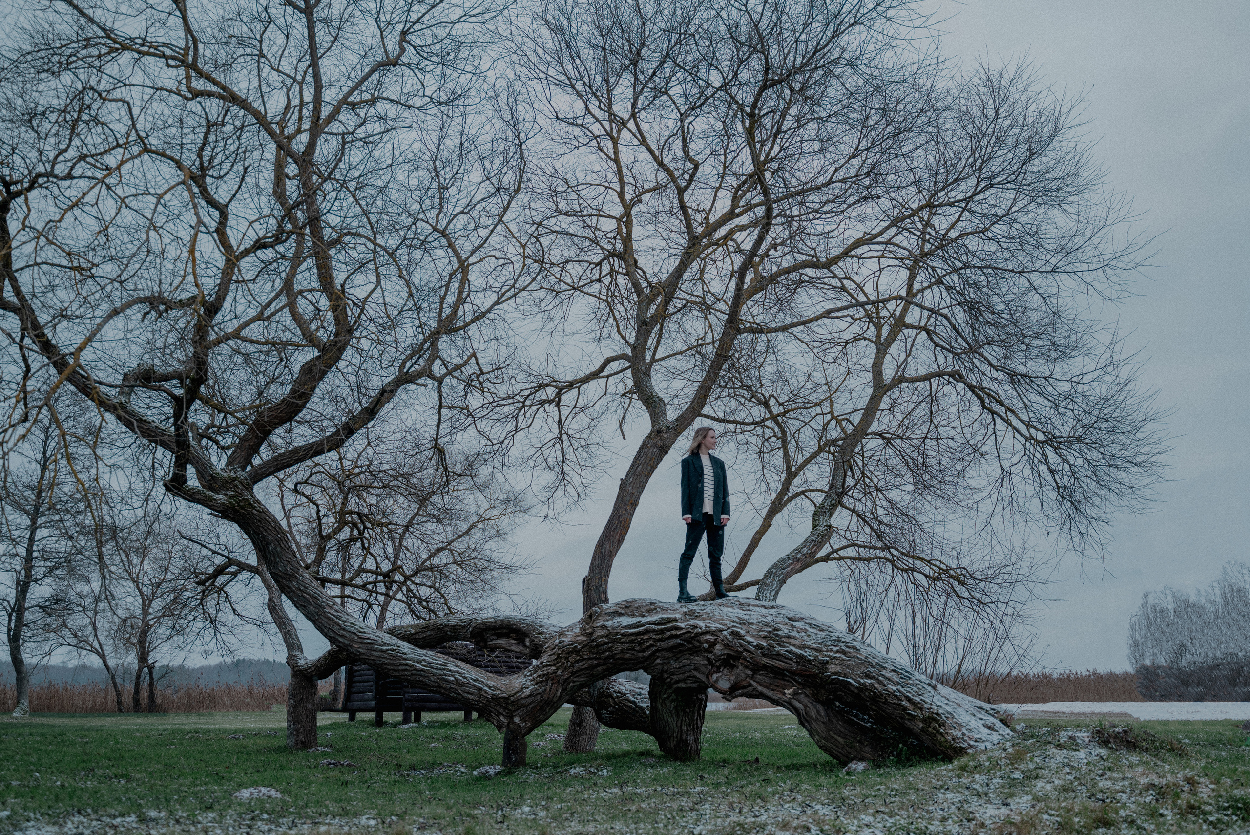 Winter. Ваш фотограф в Латгалии — Александра Юхневича!