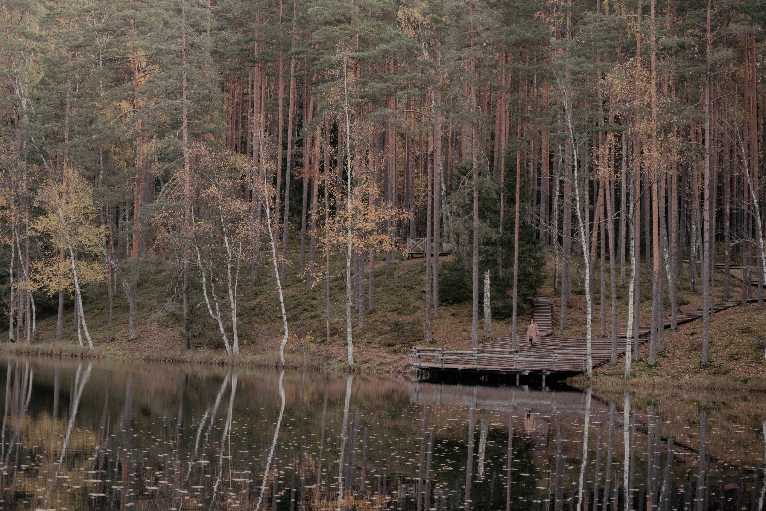 Čertoka ezers. Ваш фотограф в Латгалии — Александра Юхневича!