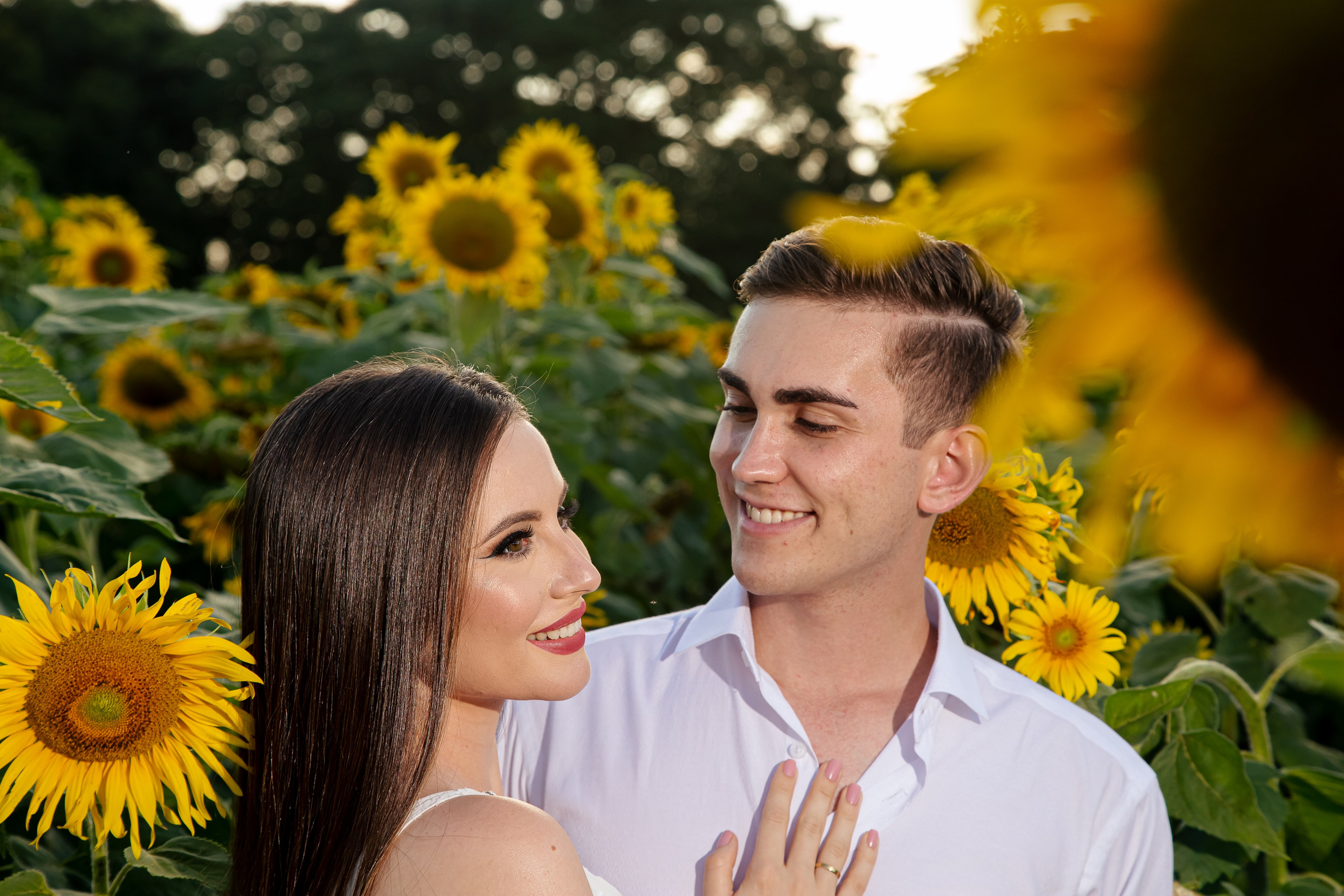 Ensaio Holambra. Tela cheia