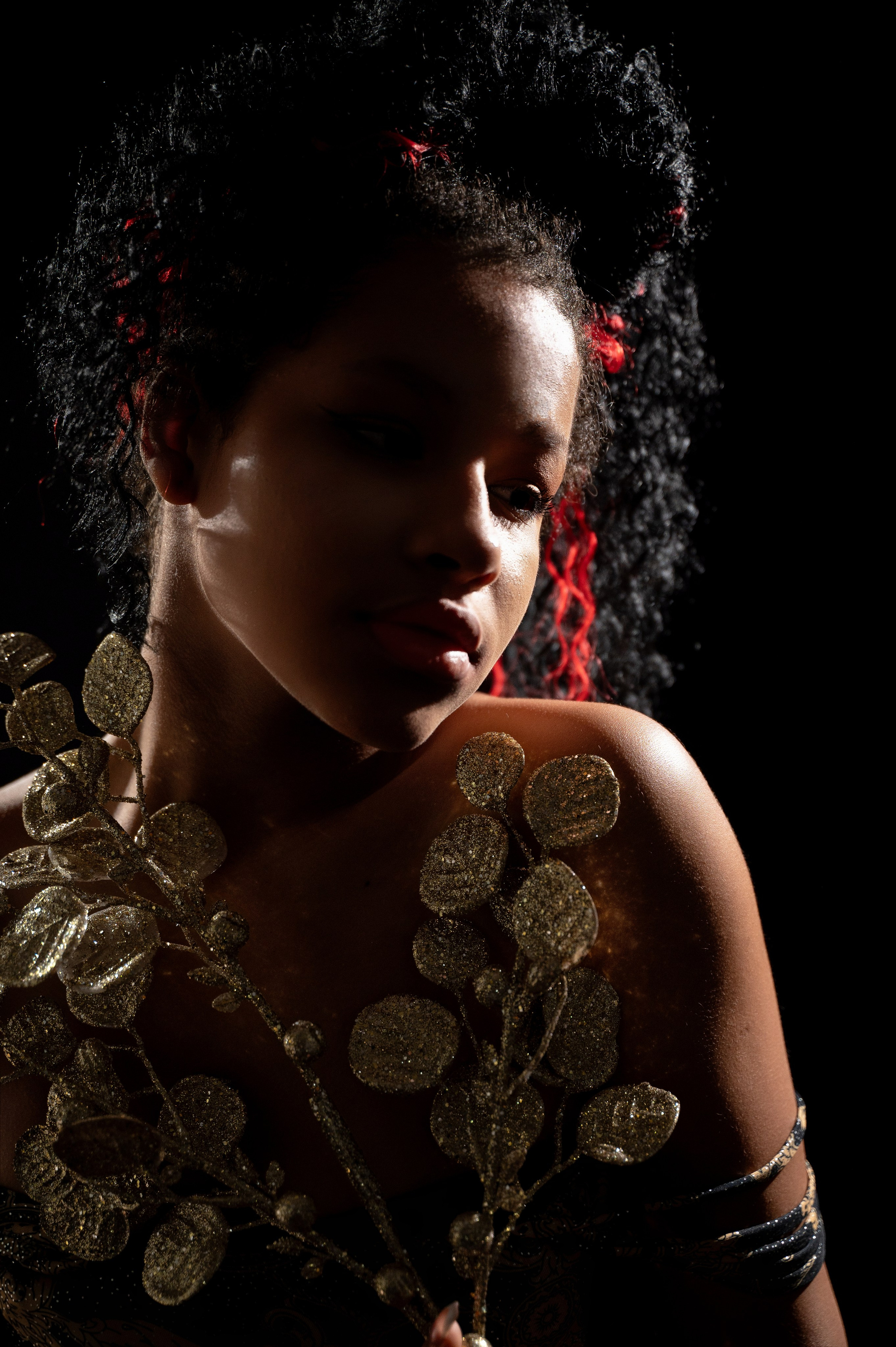 Габриэлла. Sākums