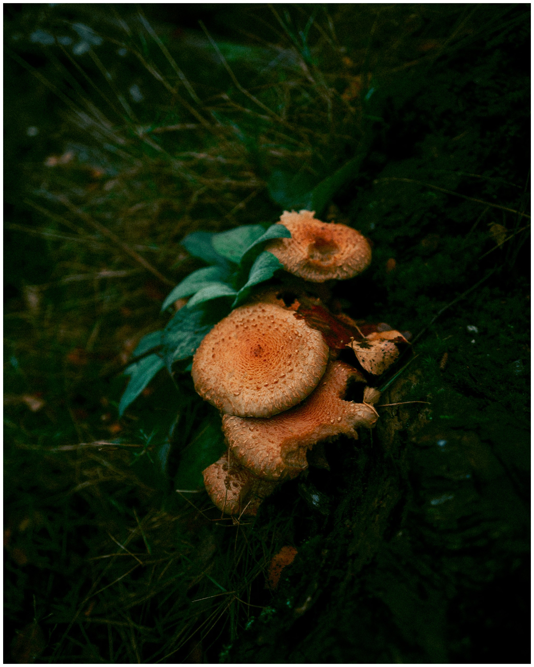 IRELAND. Inna Mendelson — Photographer