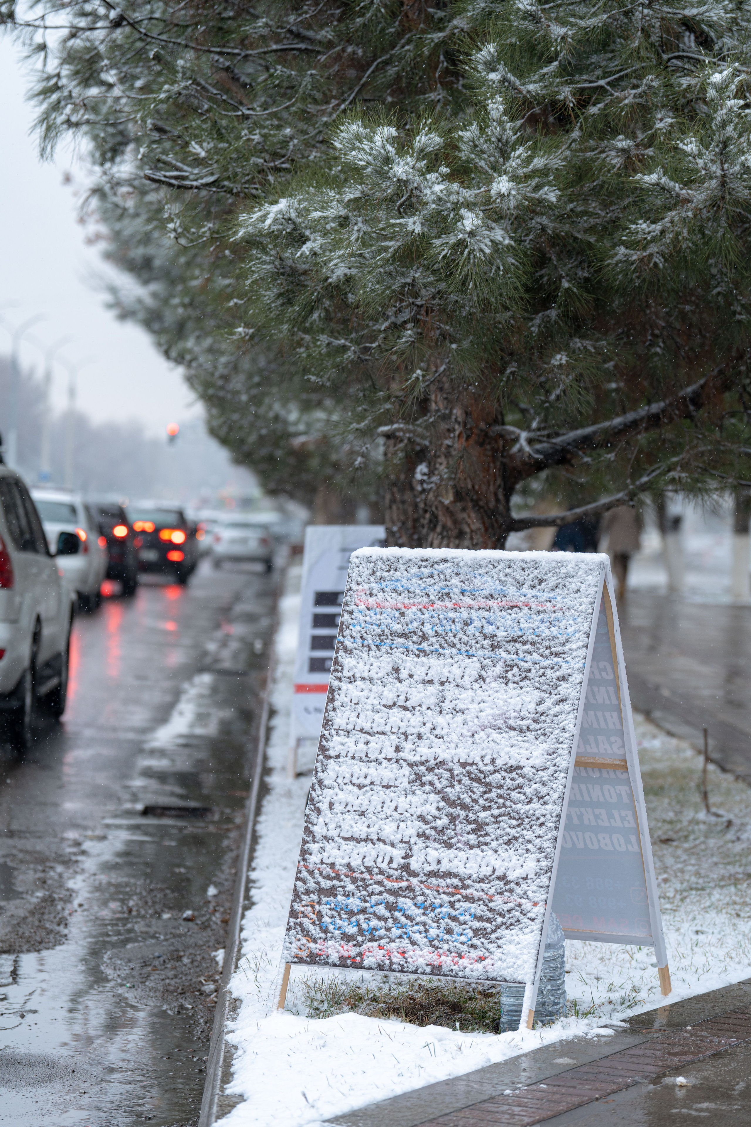 Первый снег в 2024 году. Георгий Намазов | Фотограф в Ташкенте