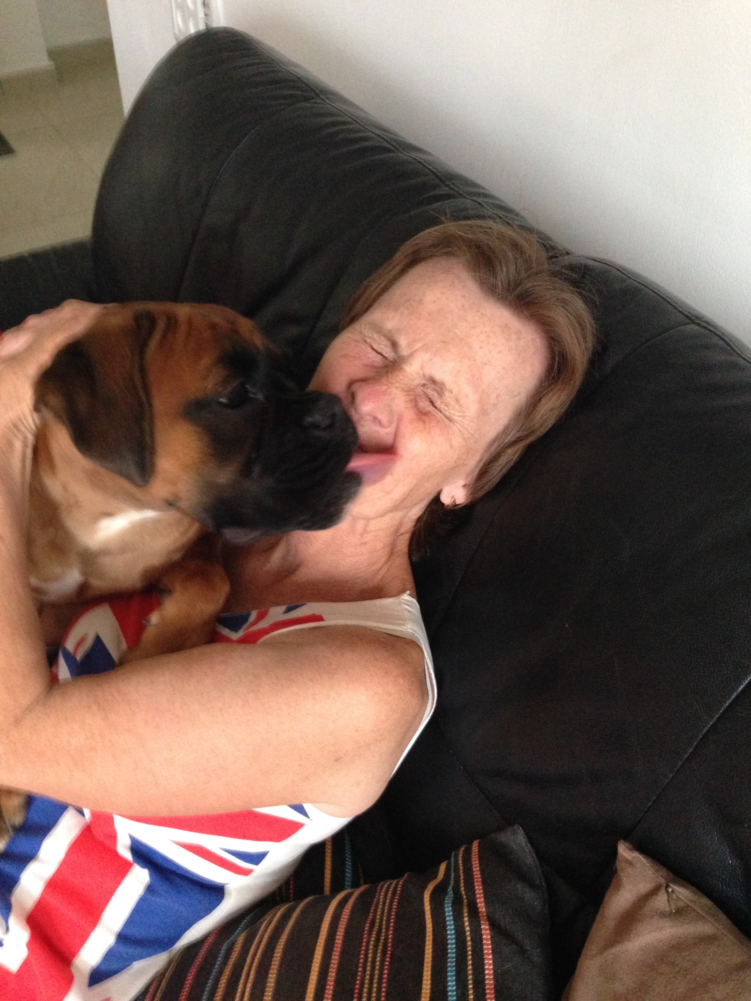 My ״Star״ Boxer Dog