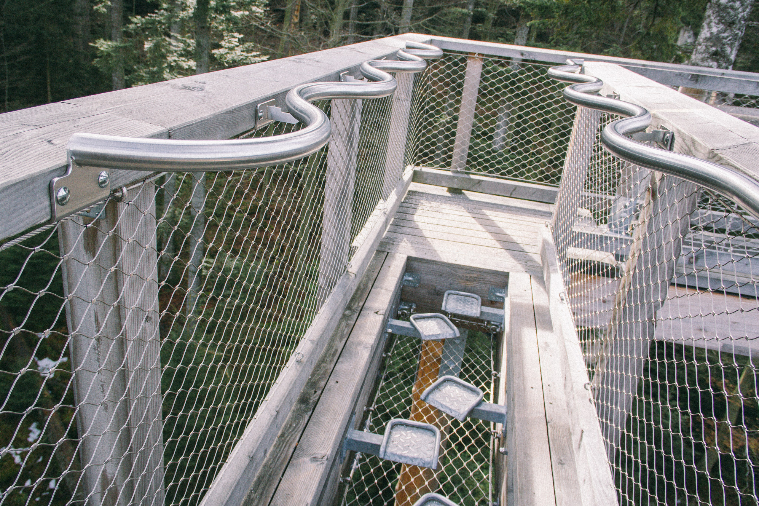Baumwipfelpfad in Bad Wildbad. Maria Chistyakovа — Fotografin in Karlsruhe, Baden-Baden und Umgebung