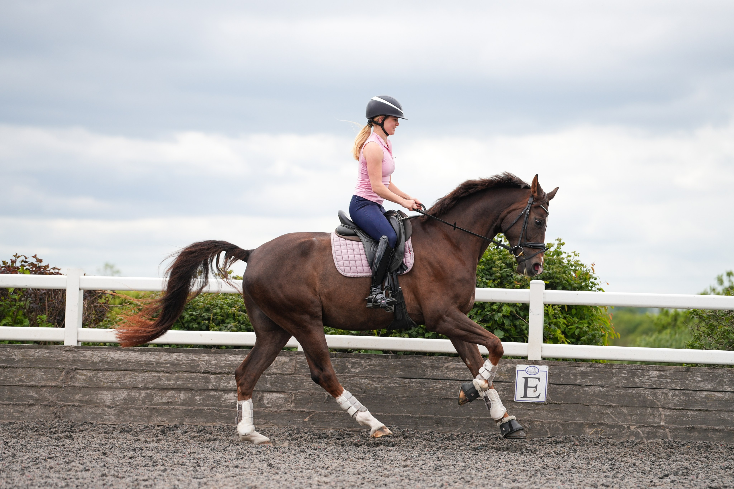 Equine Photography Portfolio | Leicestershire Horse Portrait Photographer. Leicestershire Equine Photography by El | Authentic Equine Portraits & Events