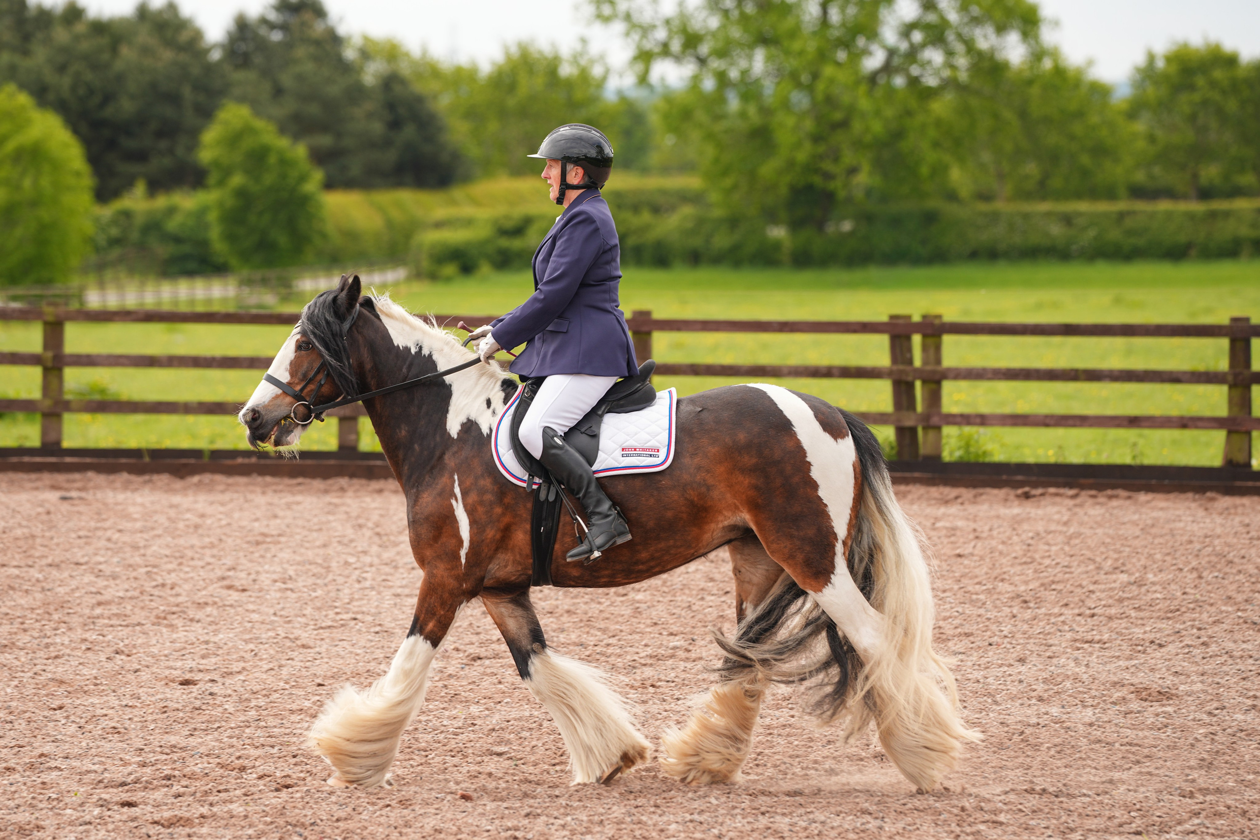 Dressage. Leicestershire Equine Photography by El | Authentic Equine Portraits & Events