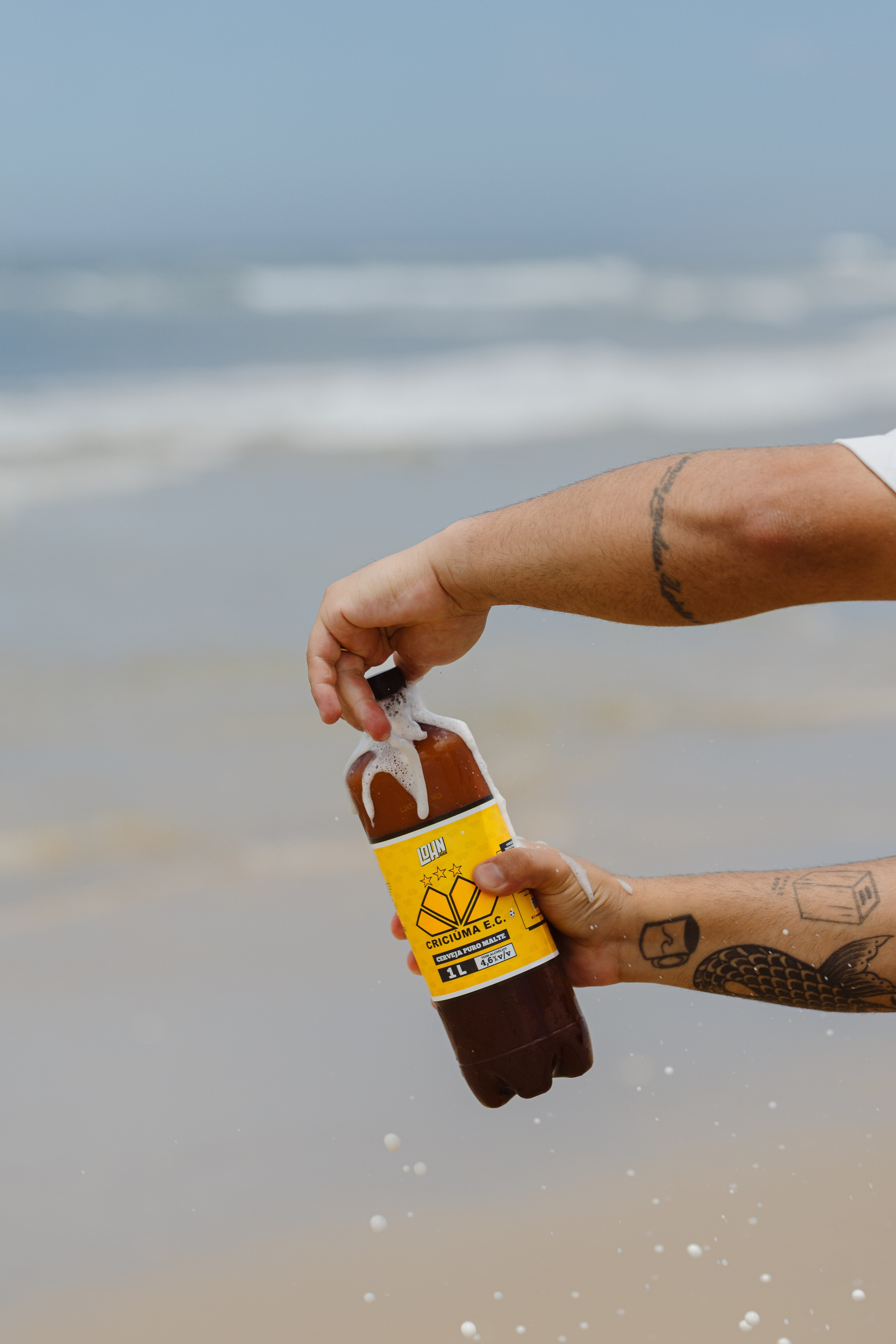 Lohnbier. ESTUDIO DOZE