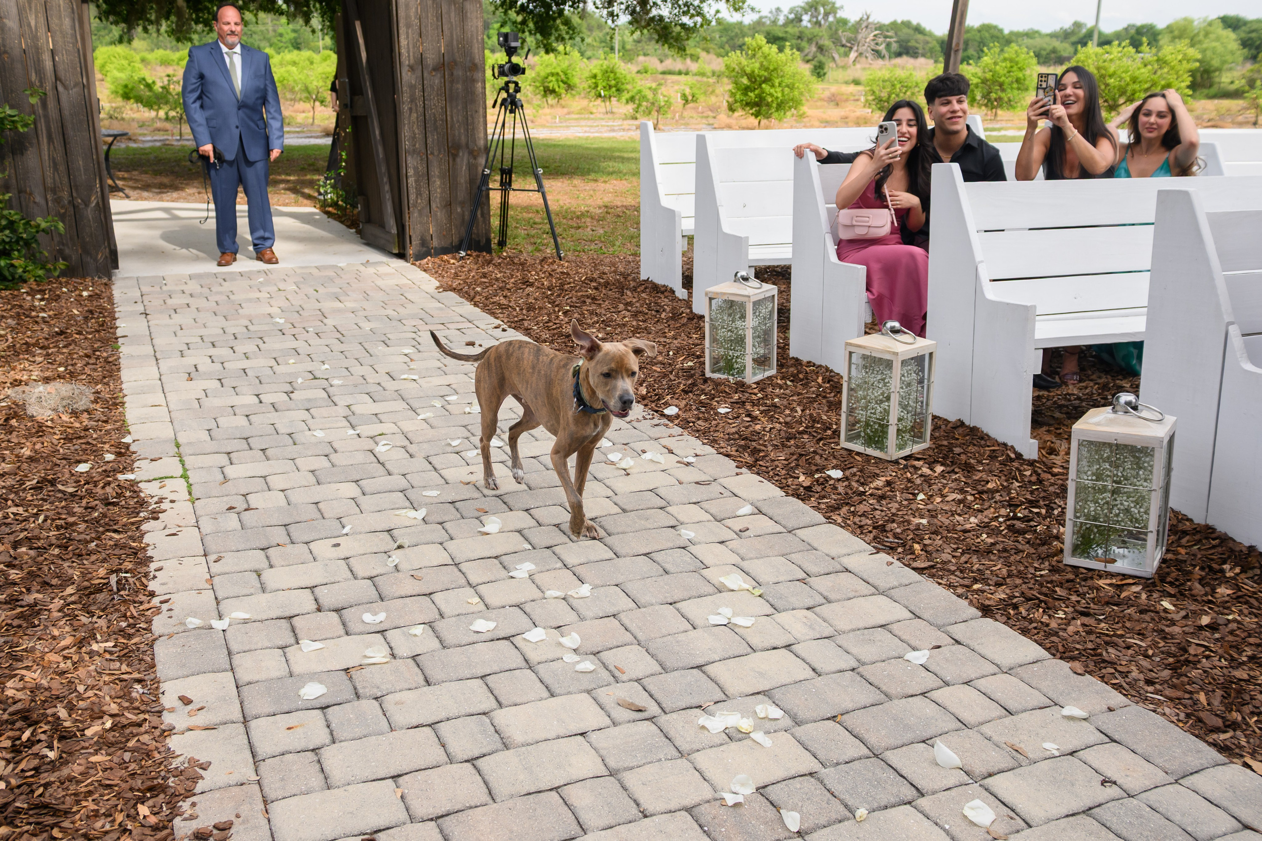 G + F. Wedding photographer in Orlando, Boston & New York Anderson Marques