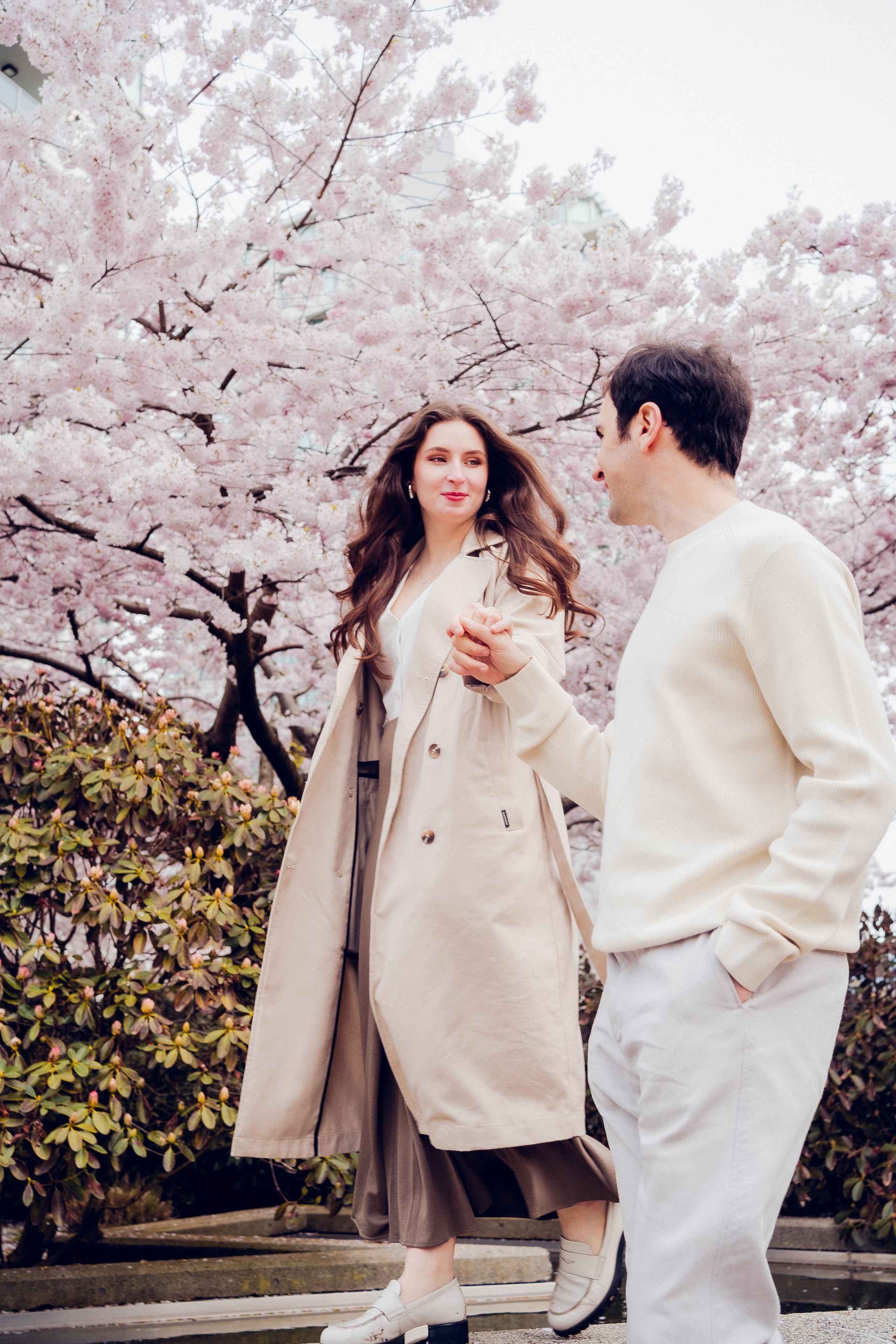 Cherry blossom. Main