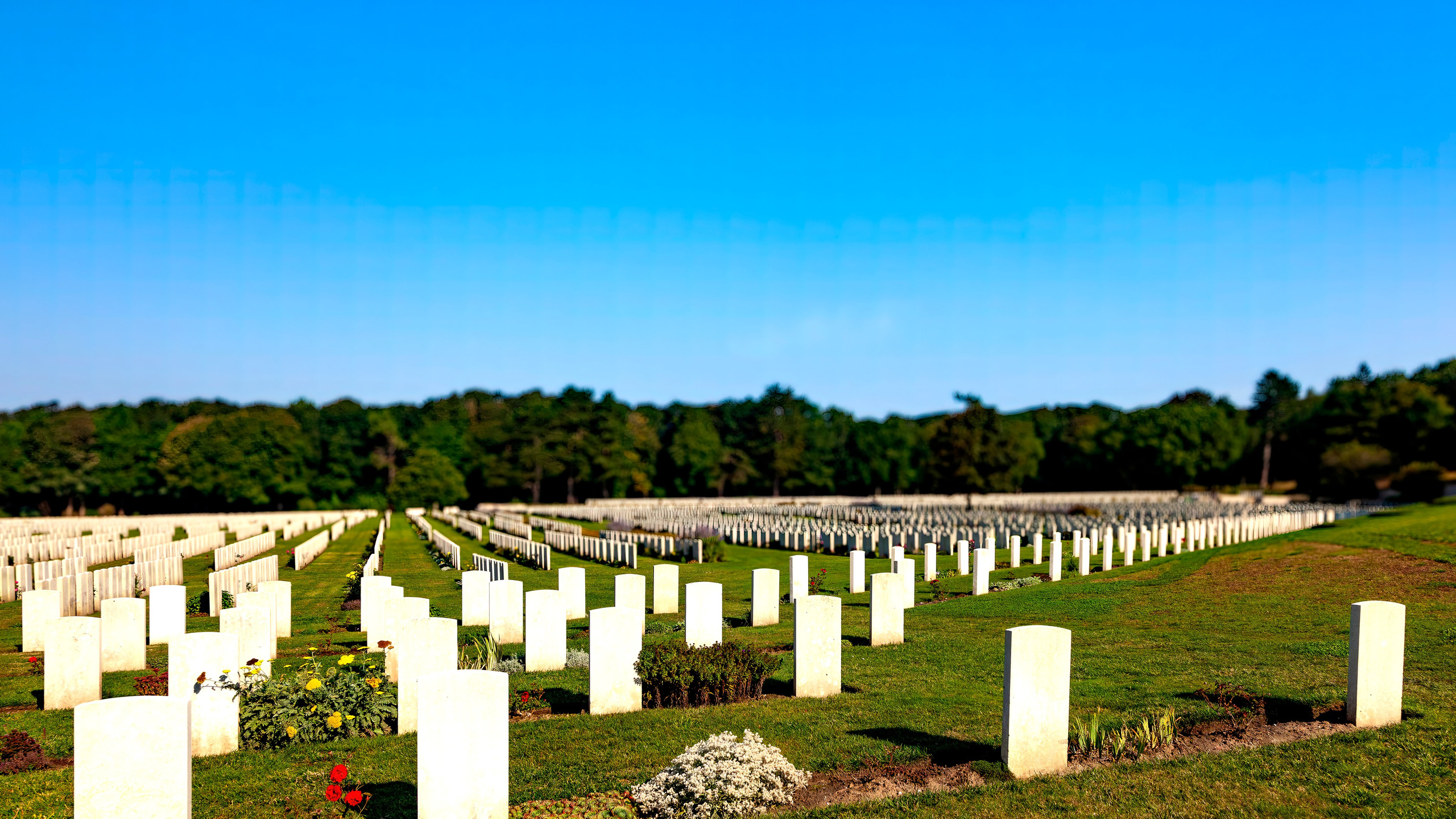 174.Étaples Military Cemetery.18.9.2024. Путешествия в формате 360......