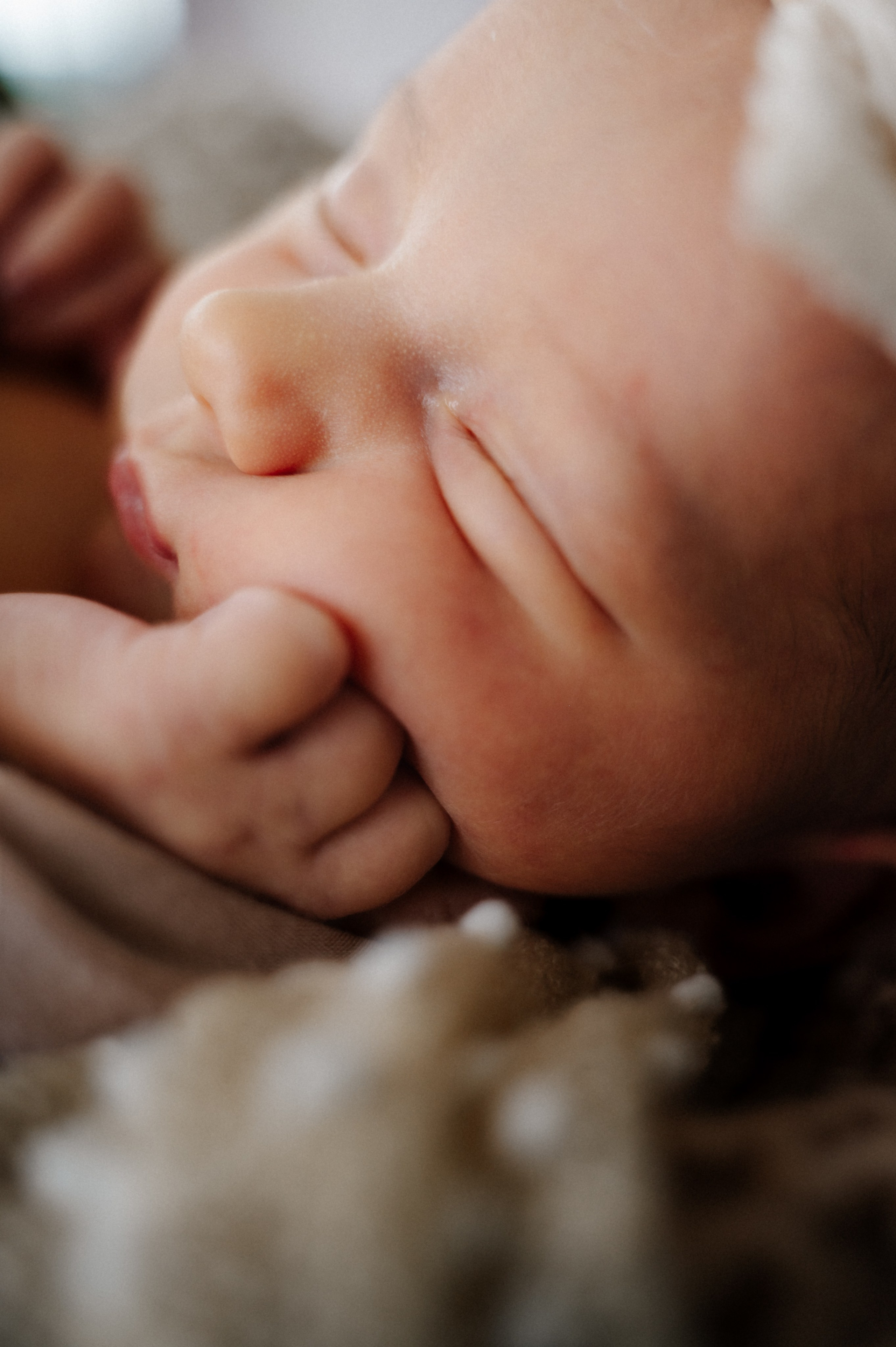Newborn. Anastasia Kurbanov Photography