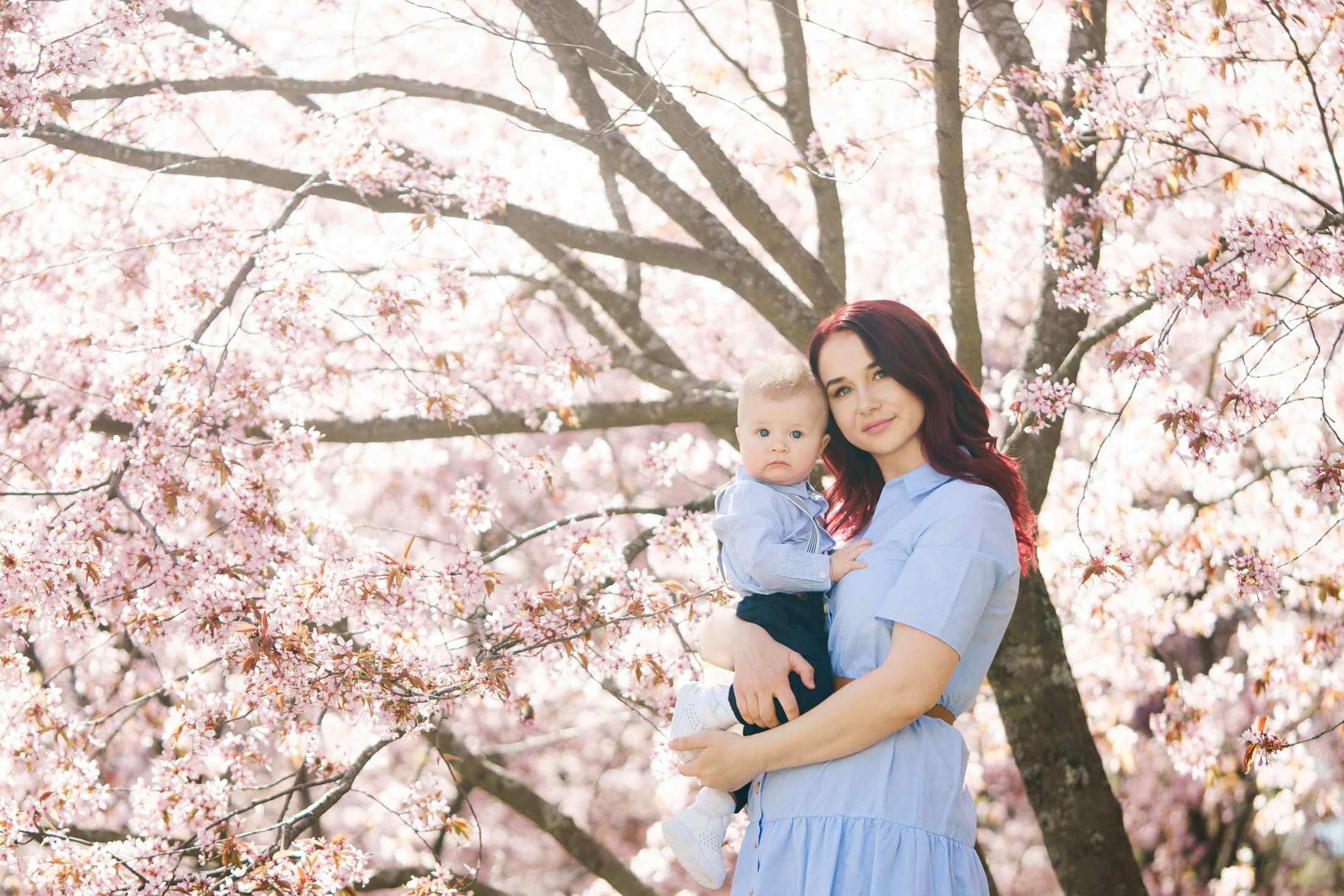 Kuvaukset kirsikkapuistossa