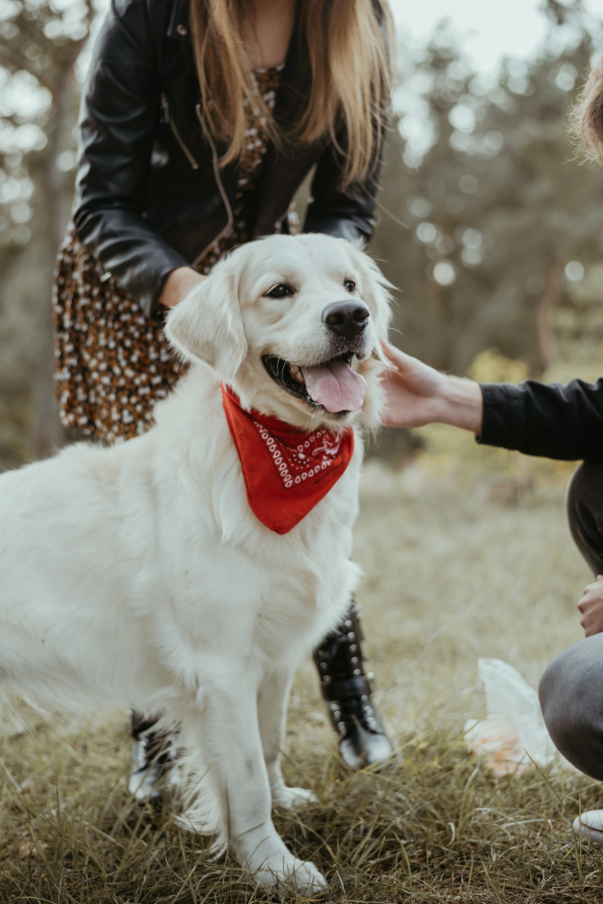 Sesje lifestyle PASEK. Dominika Strachacka Fotografia | Fotograf ślubny i rodzinny Opole Lubelskie Lublin