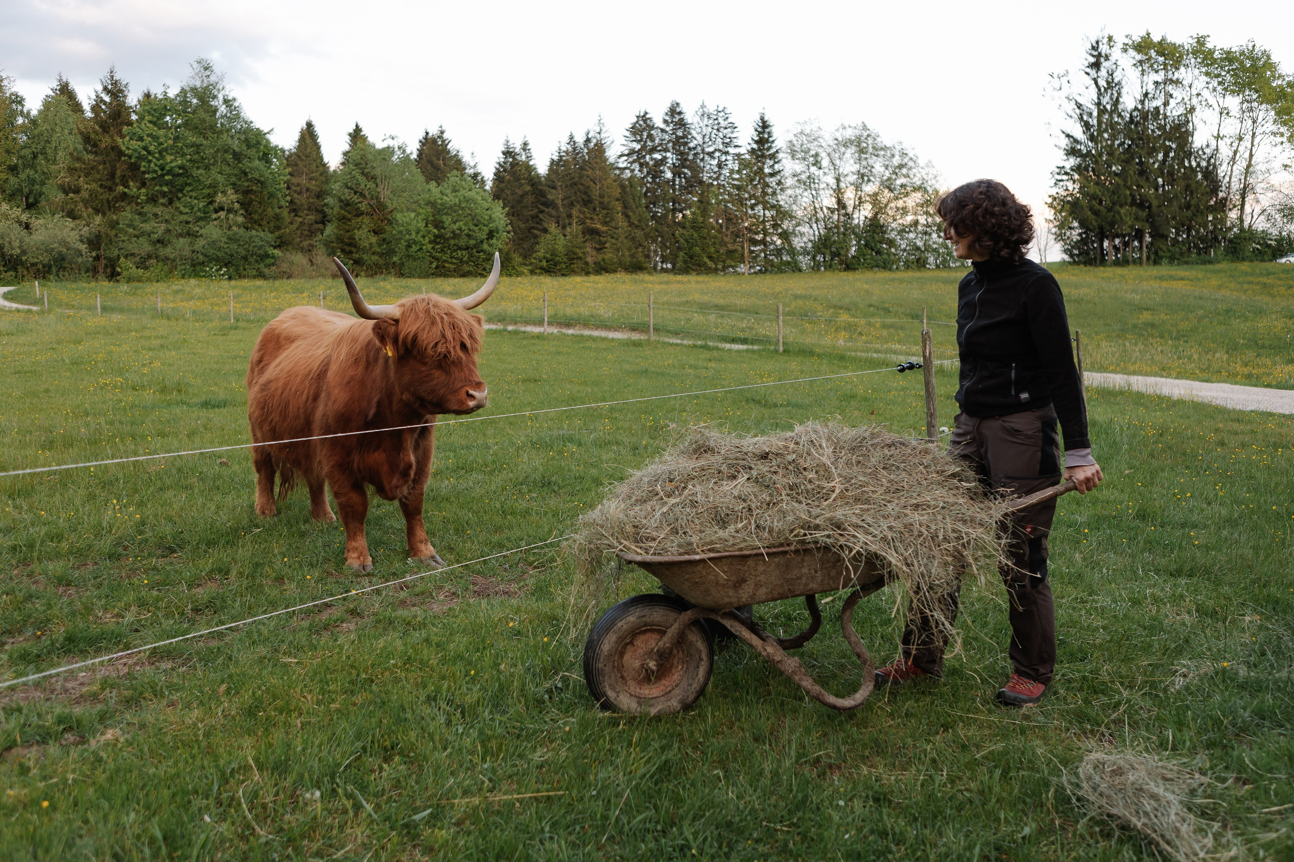 Reportage-Shooting. Fotografin Larysa Chepurko| Füssen| Garmisch-Partenkirchen| Weilheim| Schongau| Murnau| München | Hochzeitsfotograf Füssen | Larysa Photo