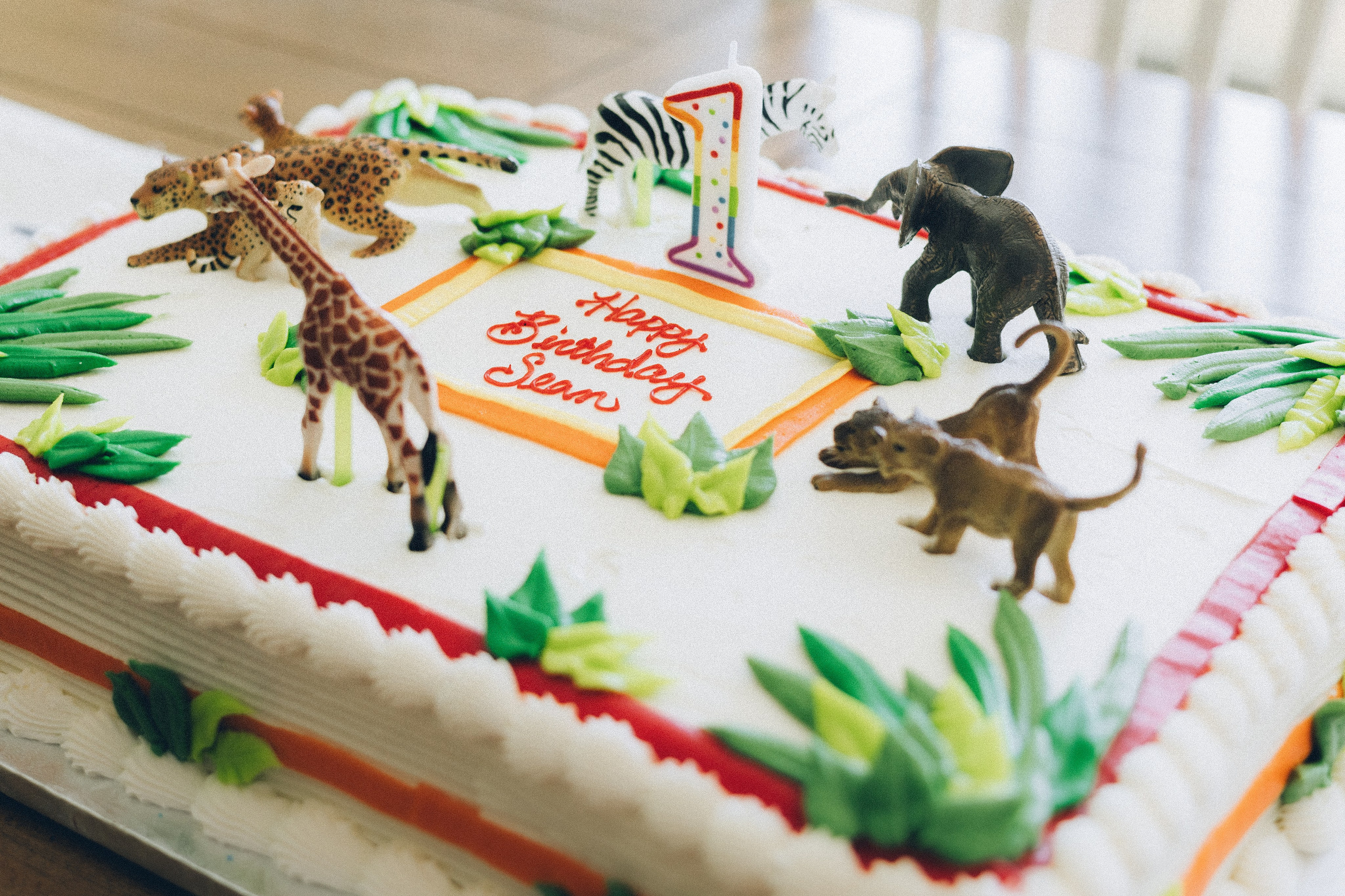 Sean’s Birthday. Sara Eulalia | Virginia Photographer