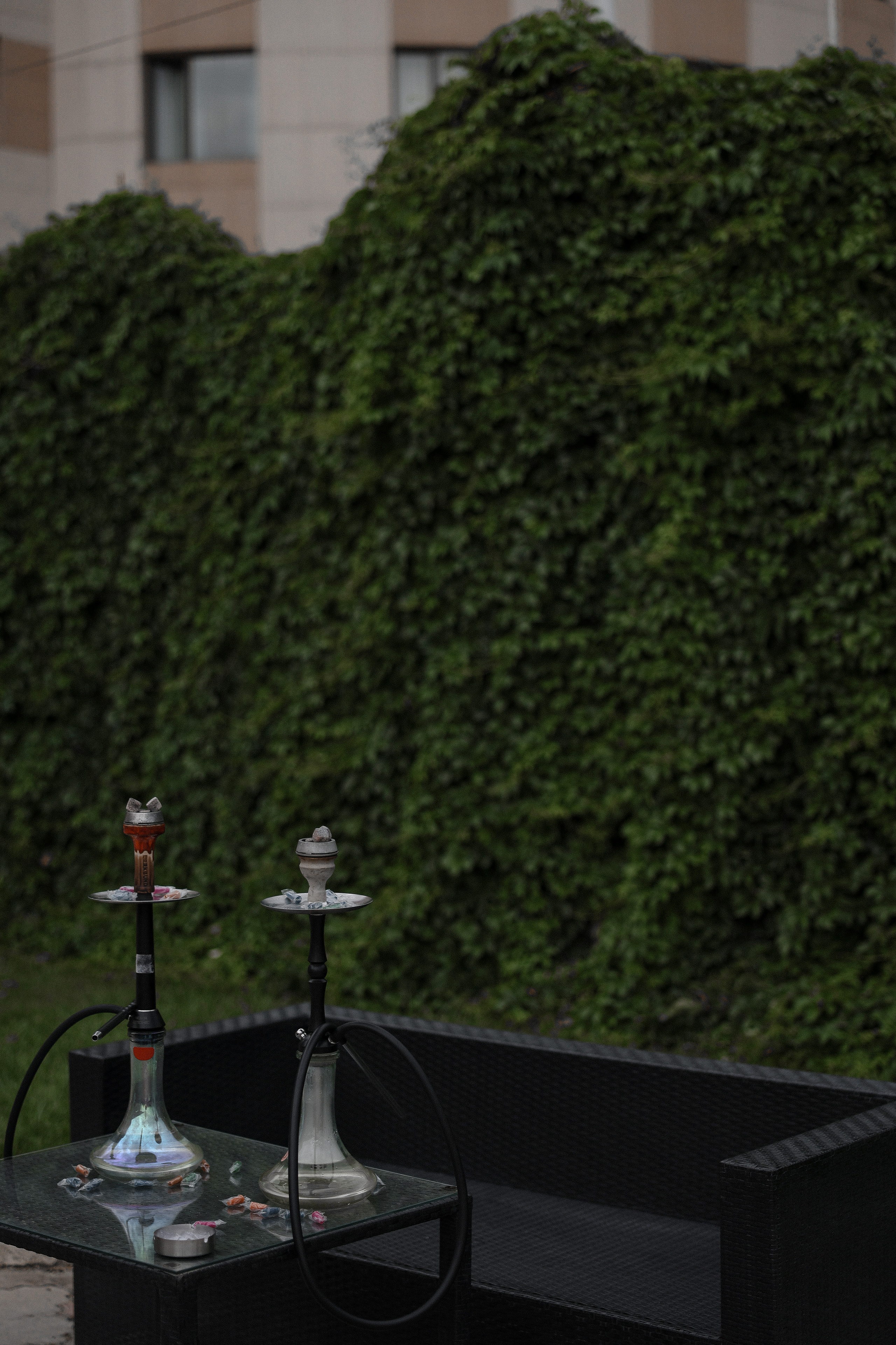 Евгений и Диана. Азимжан Нуритдинходжаев — свадебный фотограф