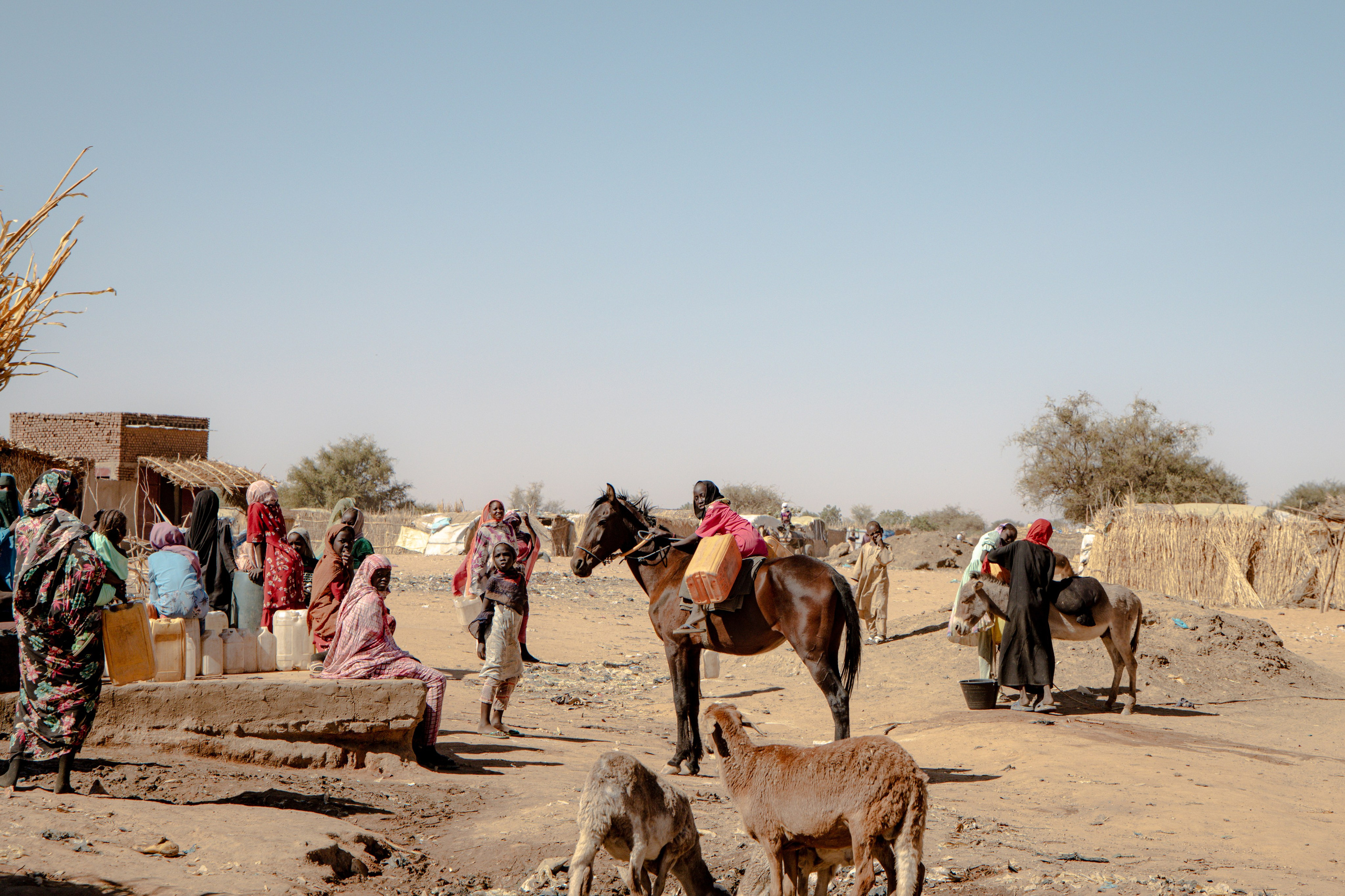 Chad / Darfur. Photo reporter français basé à Paris