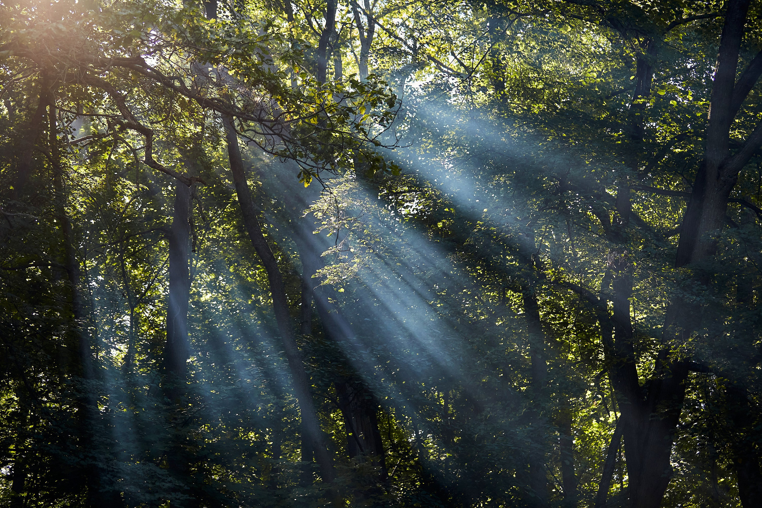 Festival Photography in Berlin and Europe. Photorgrapher Berlin: Event, Portrait and commercial photography