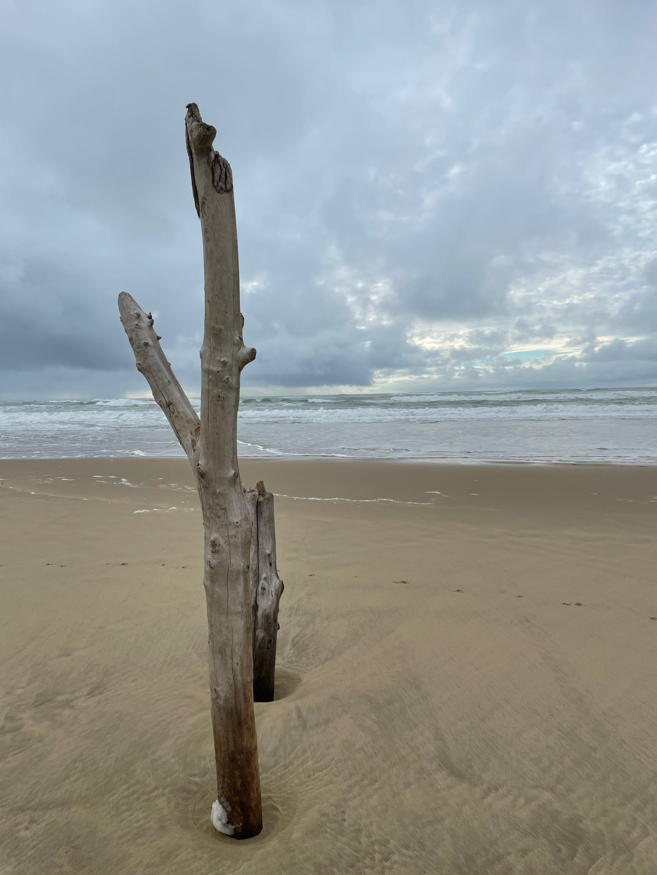 Materials collection and inspiration. Anne-Flore REY, Artist — Painter and Sculptor in TOULOUSE (FR)