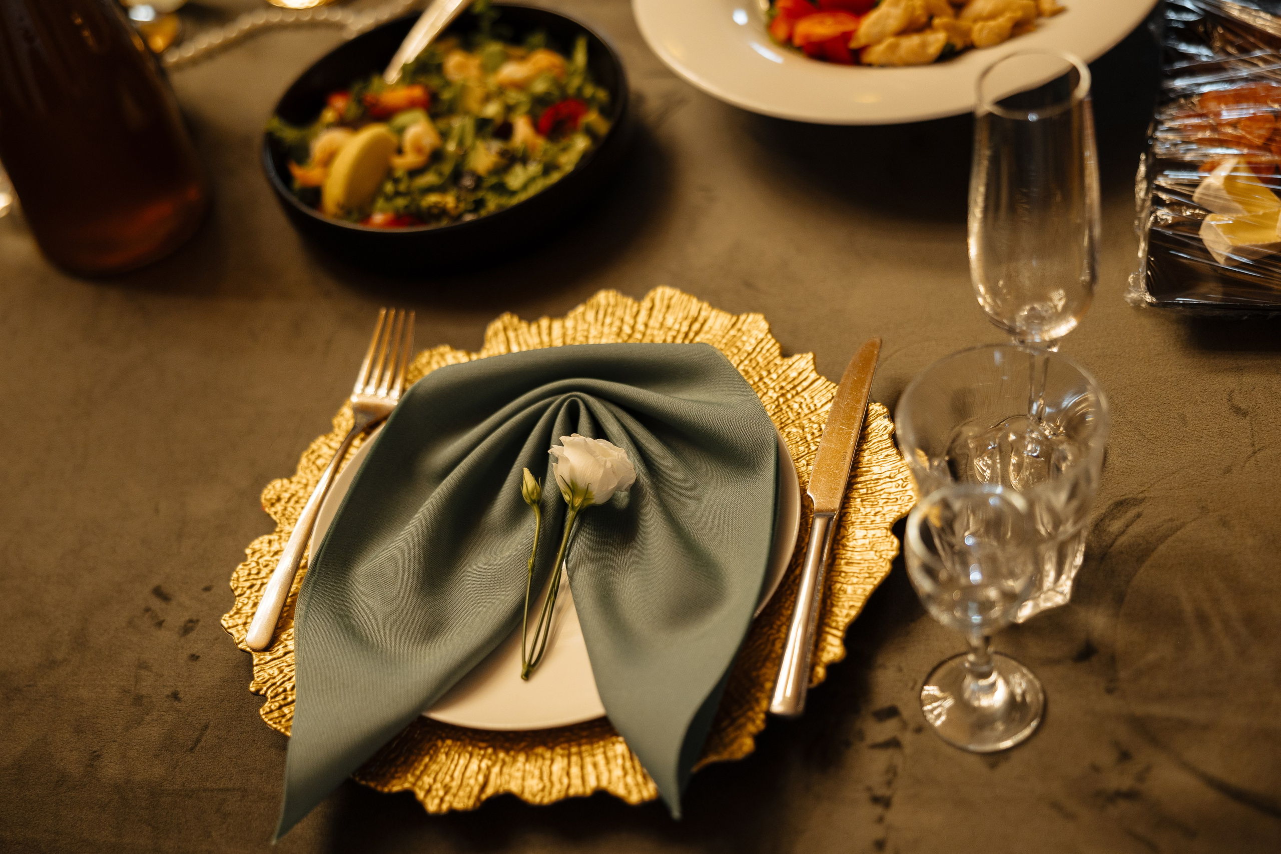 Diana Vlad. Ірина Терещук