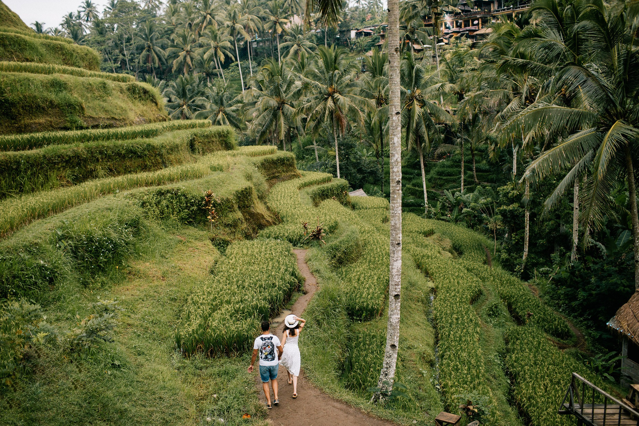 Hotel + Rice terraces. Getitfeel — Aesthetic Photography and Videography