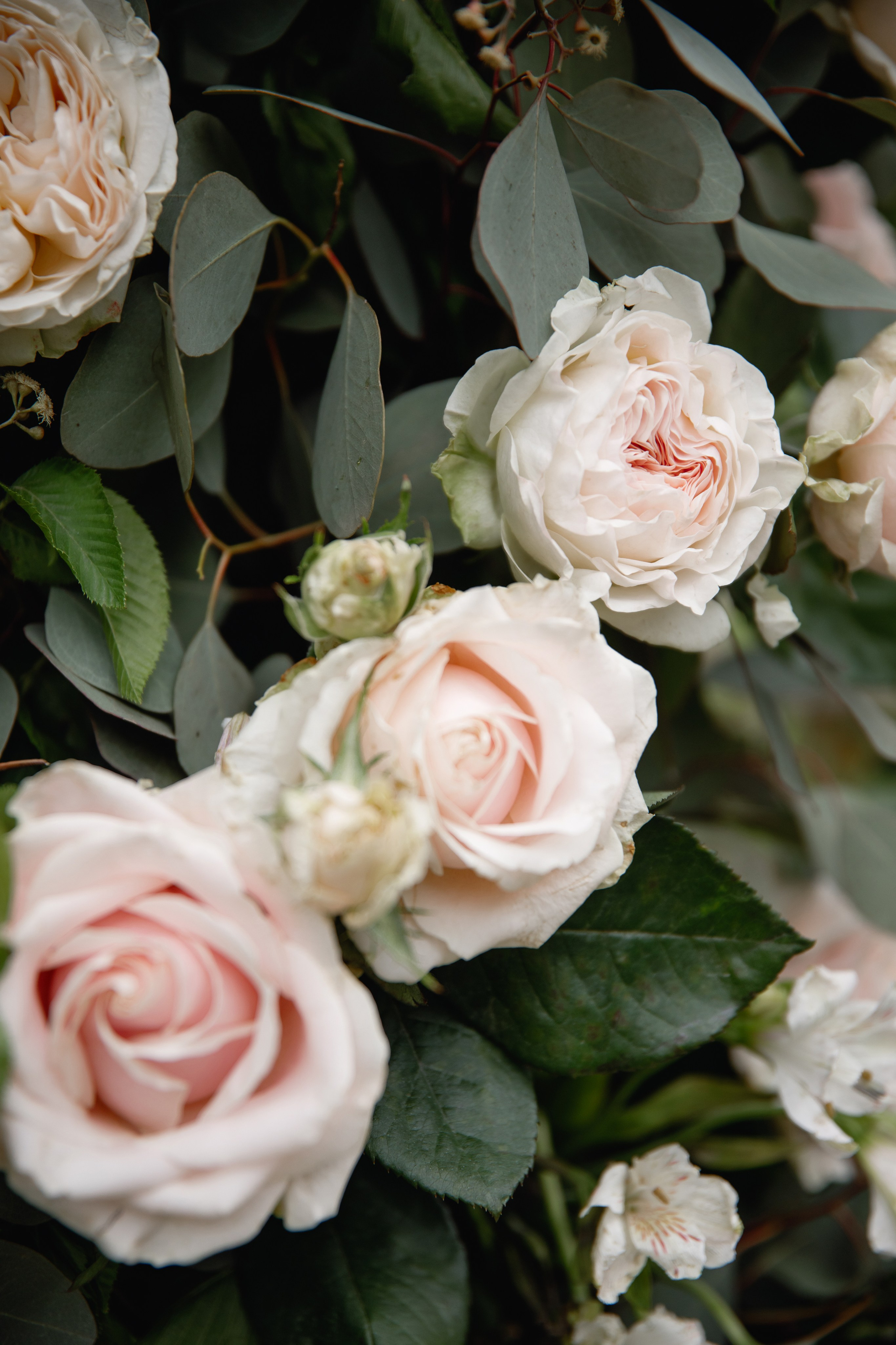 Wedding Photographer Italy, Tuscany, Como, Amalfy, Puglia, Sicily. Wedding Photographer Rome Tuscany Como Sicily Puglia Amalfy Italy- Oksana Savenchuk