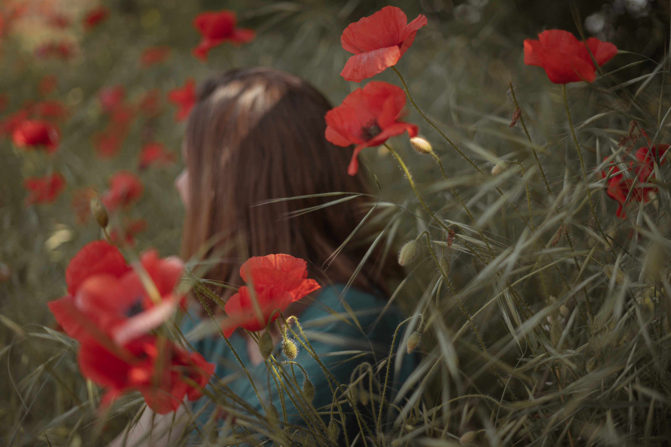 PAPAVERI. PHOTOGRAPHER IN ITALY
