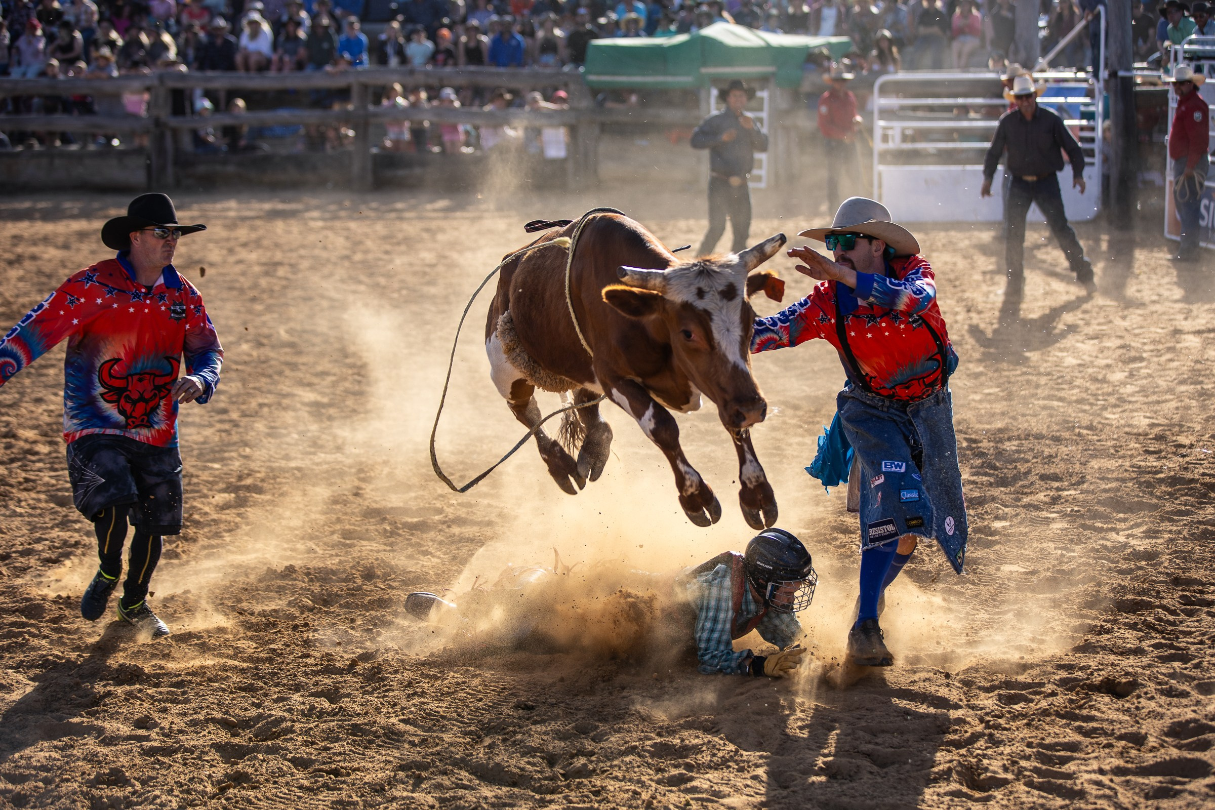 Selection of photos from different rodeos