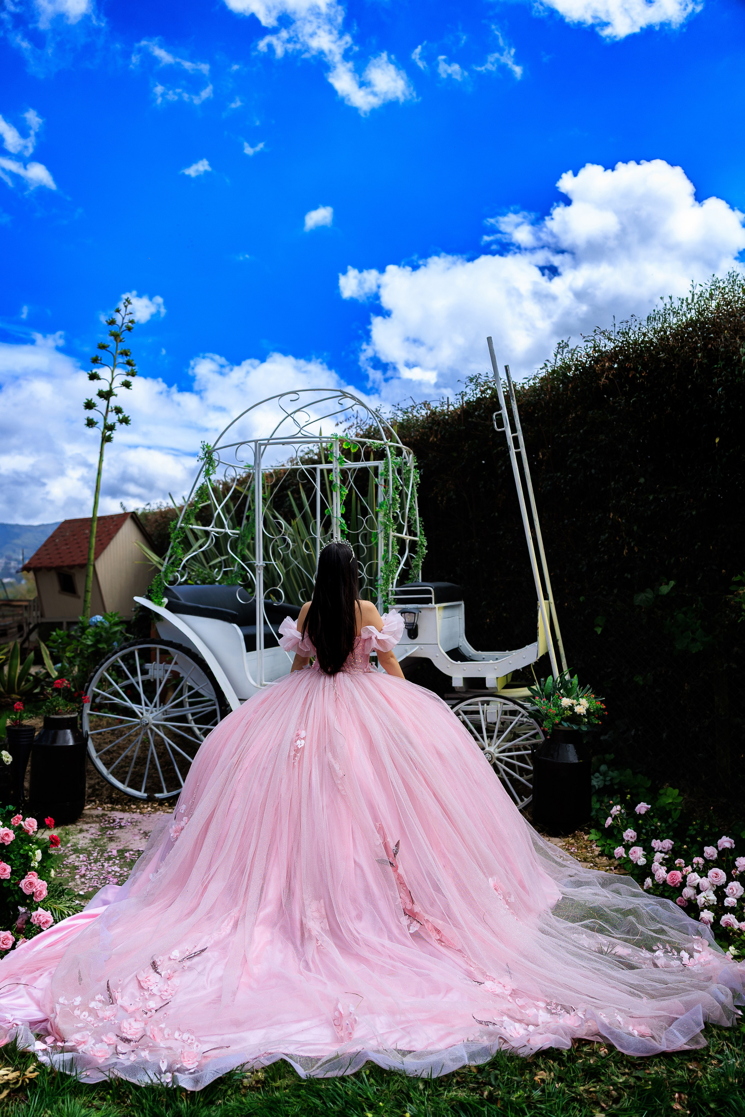 Laura. Harnol Lopez - Fotografia de Quinces & Bodas