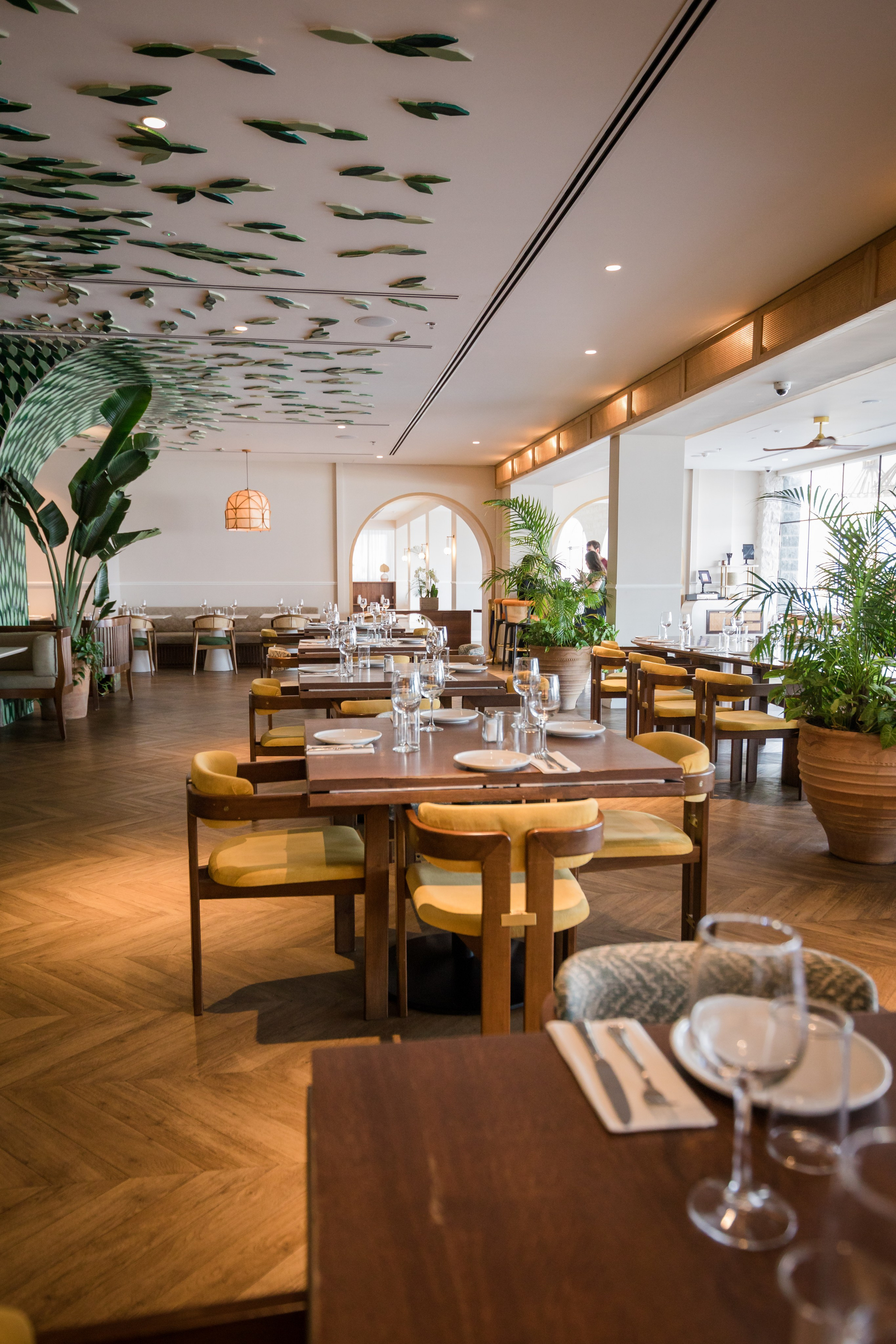 זרעי גדרה — SYNGENTA. AMIR BUCHNIK PHOTOGRAPHER