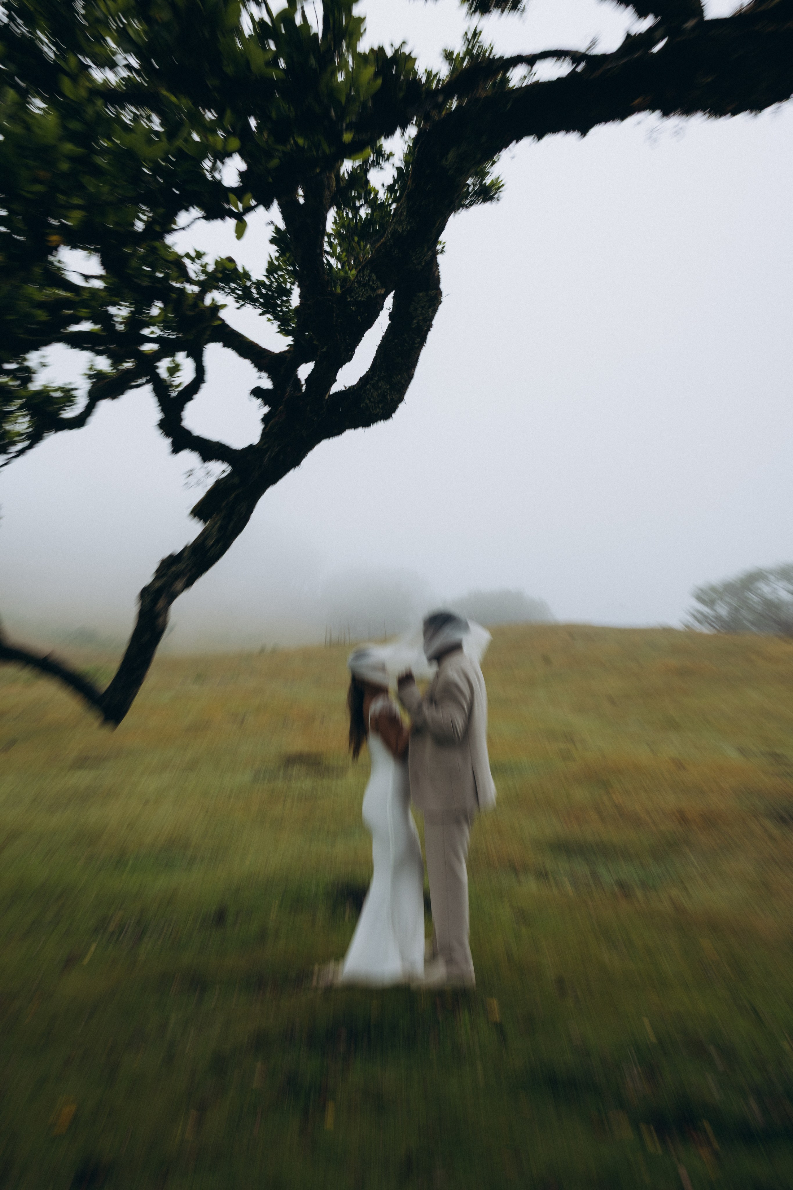 Honeymoon Photoshoot in Fanal Forest, Madeira | Romantic Couple Session