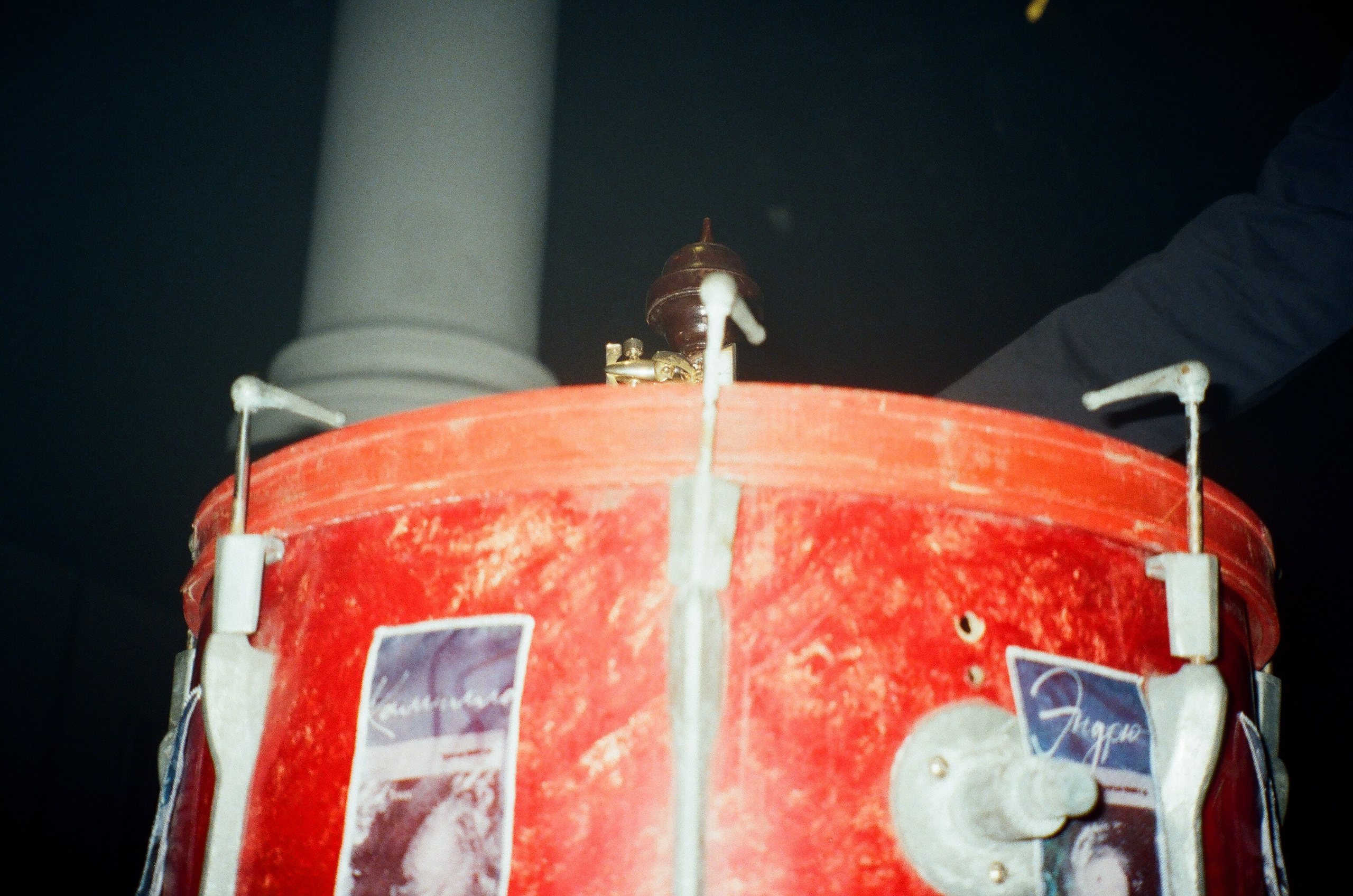 Spira mirabilis| Удивительная спираль. Alina Kugush