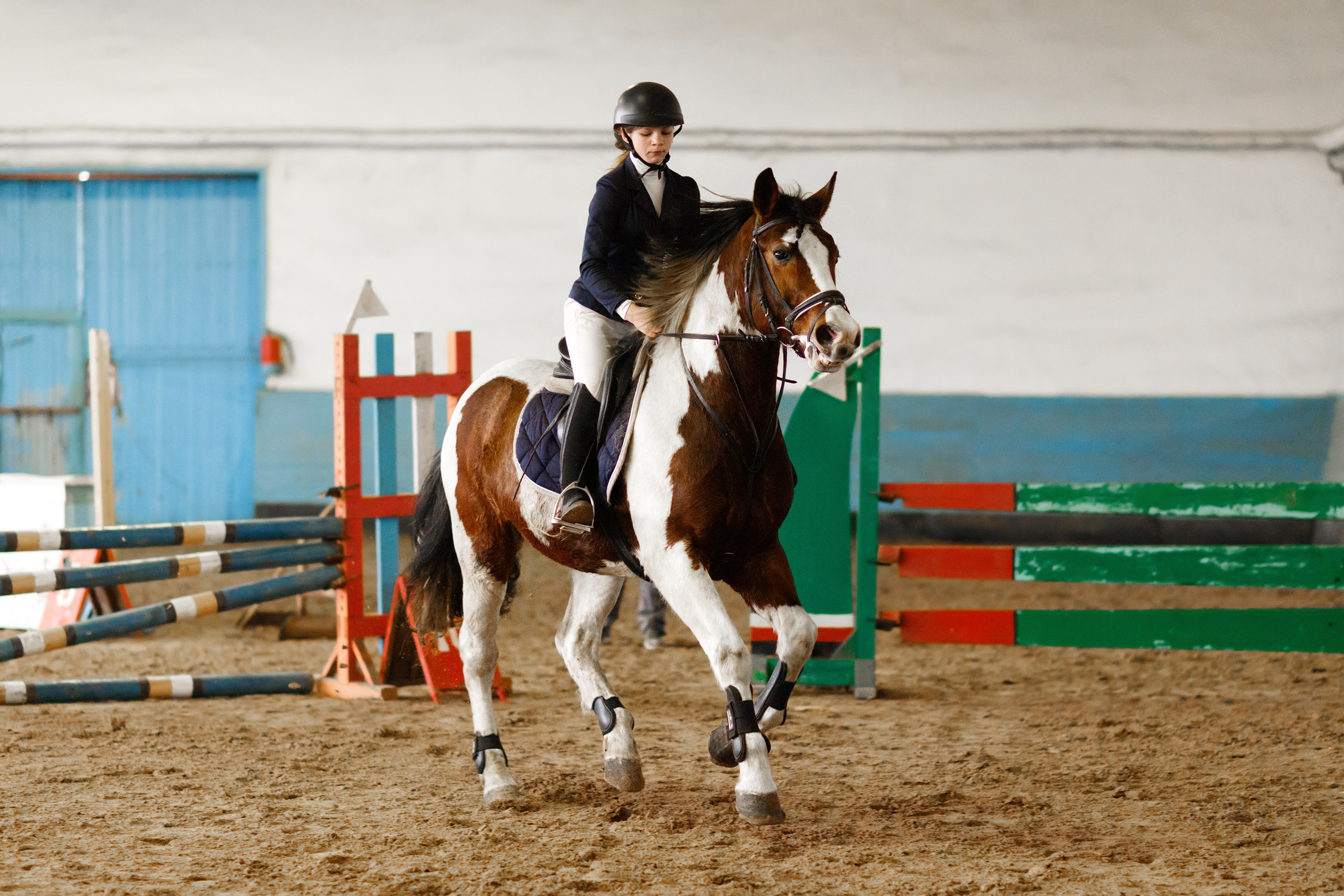 Winter show jumping in «Progress». Kaja | fotograf we Wrocławiu | ludzie i psy