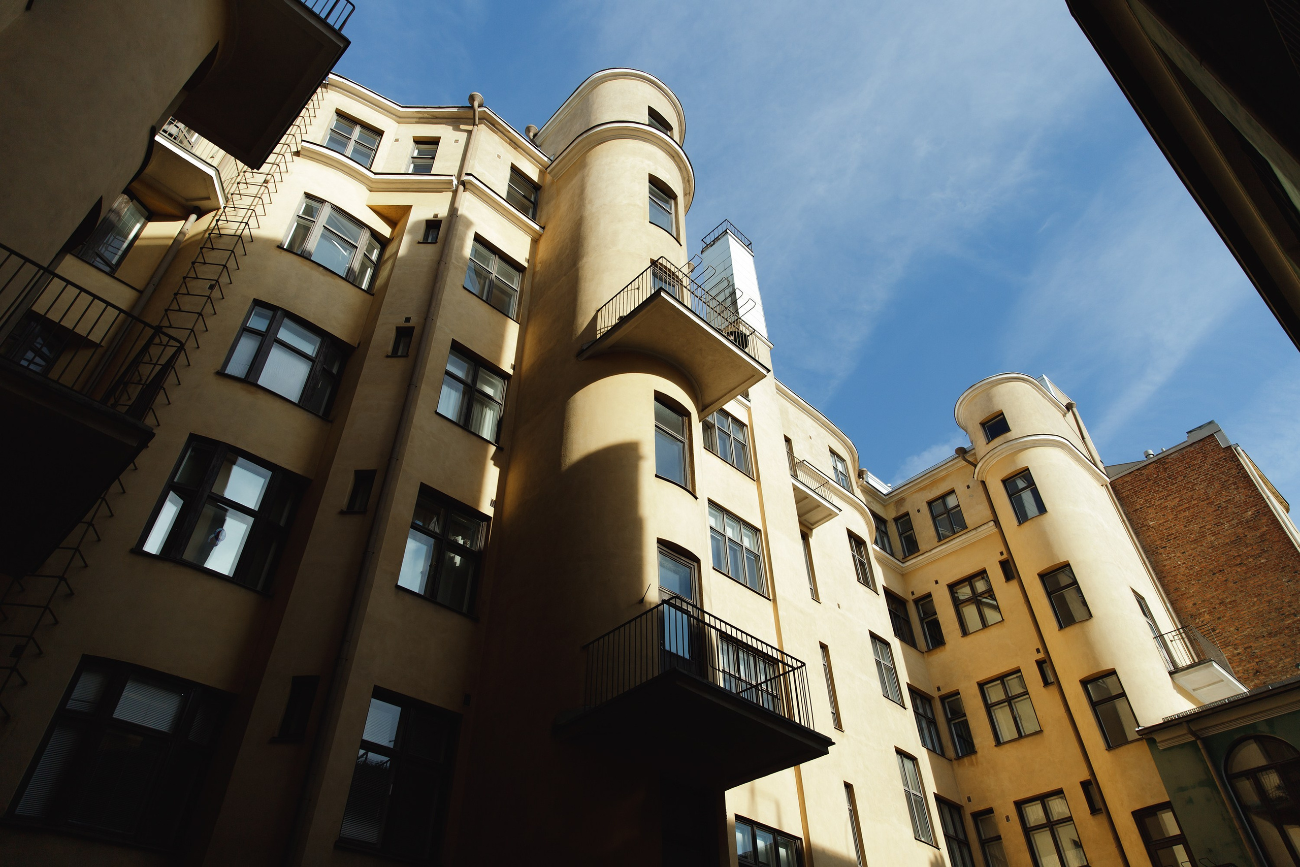 Helsinki. Kaja | fotograf psów we Wrocławiu