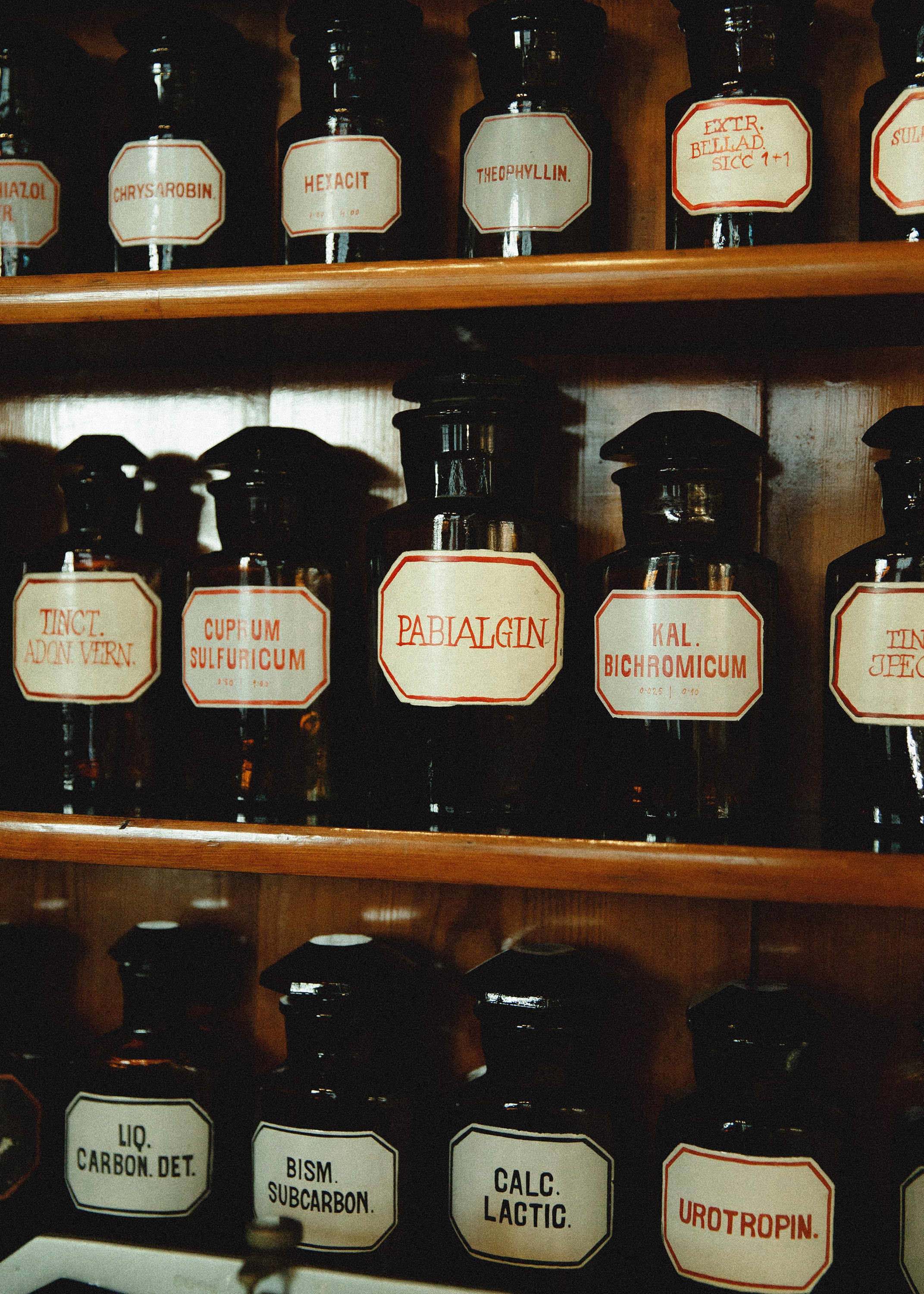 Museum of farmacy in Wroclaw. Kaja | fotograf we Wrocławiu | ludzie i psy