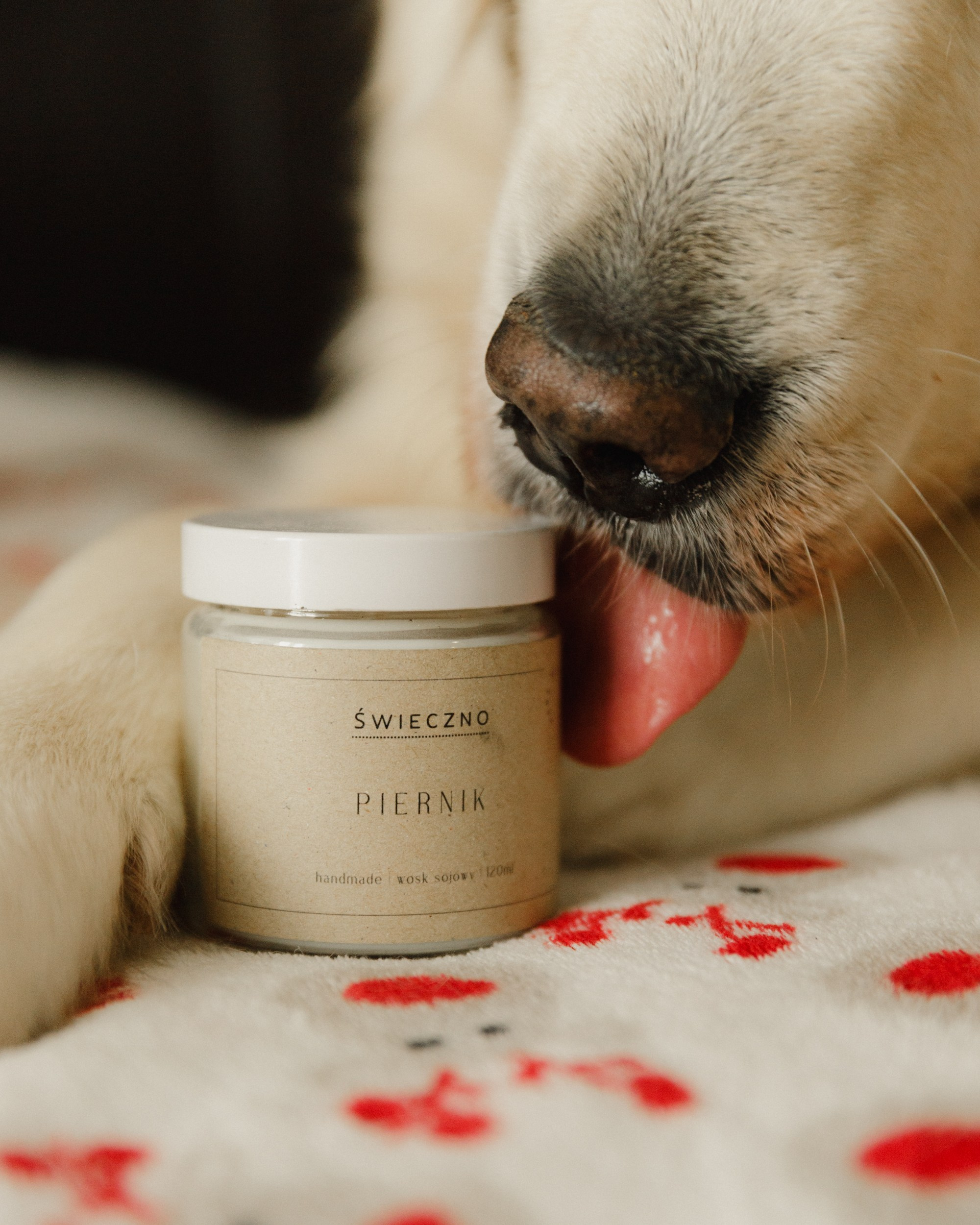 Candles | insta content. Kaja | fotograf we Wrocławiu | ludzie i psy