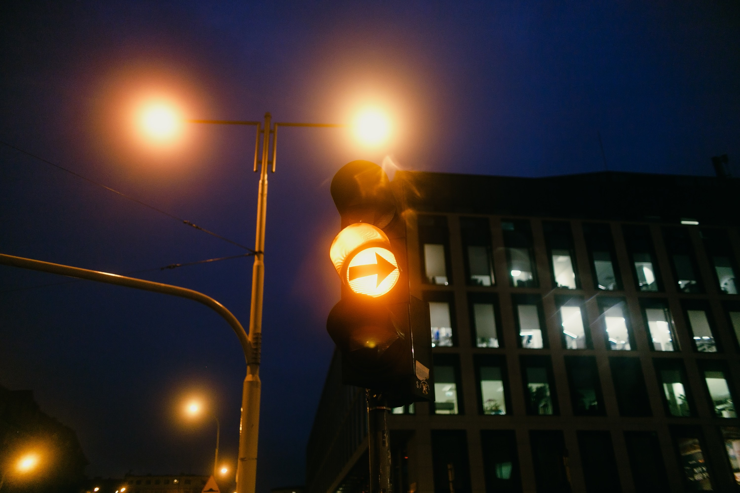 Night rainy Wroclaw. Kaja | fotograf psów we Wrocławiu