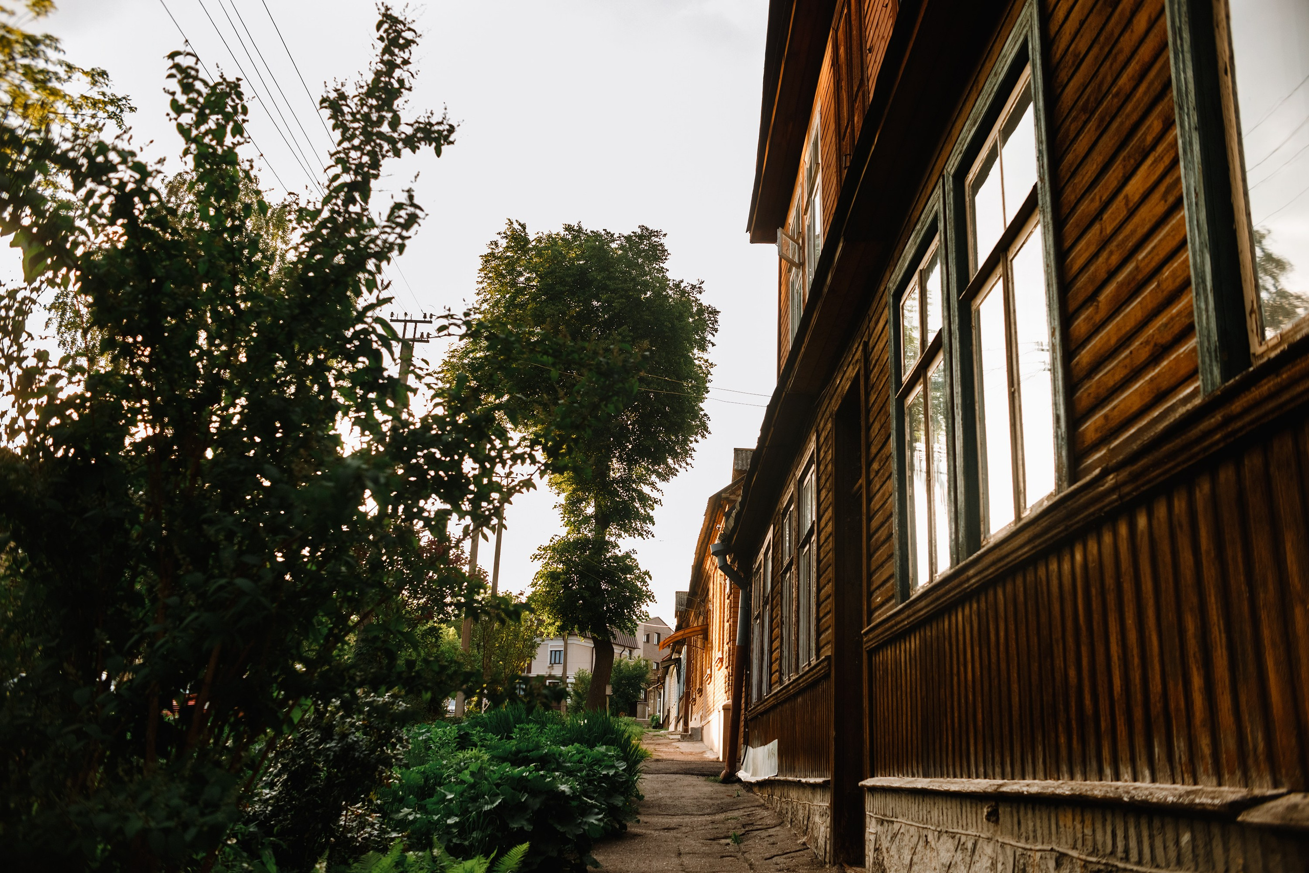 Grodno. Kaja | fotograf we Wrocławiu | ludzie i psy