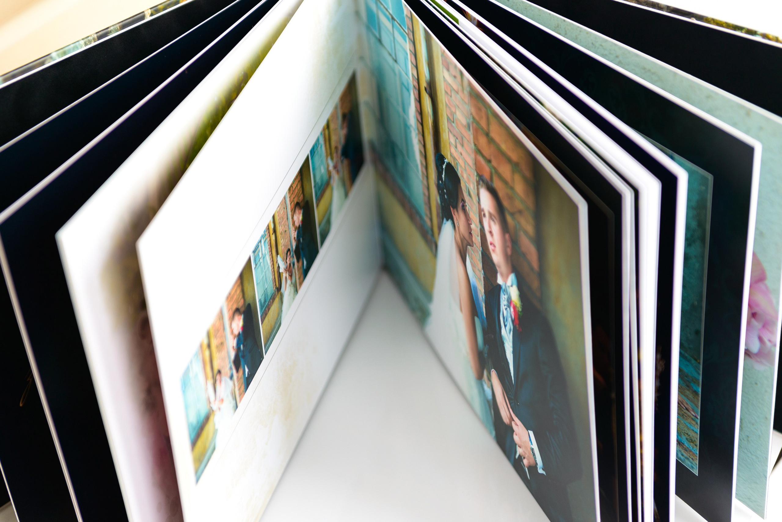 Albume Bogdan Palenciuc