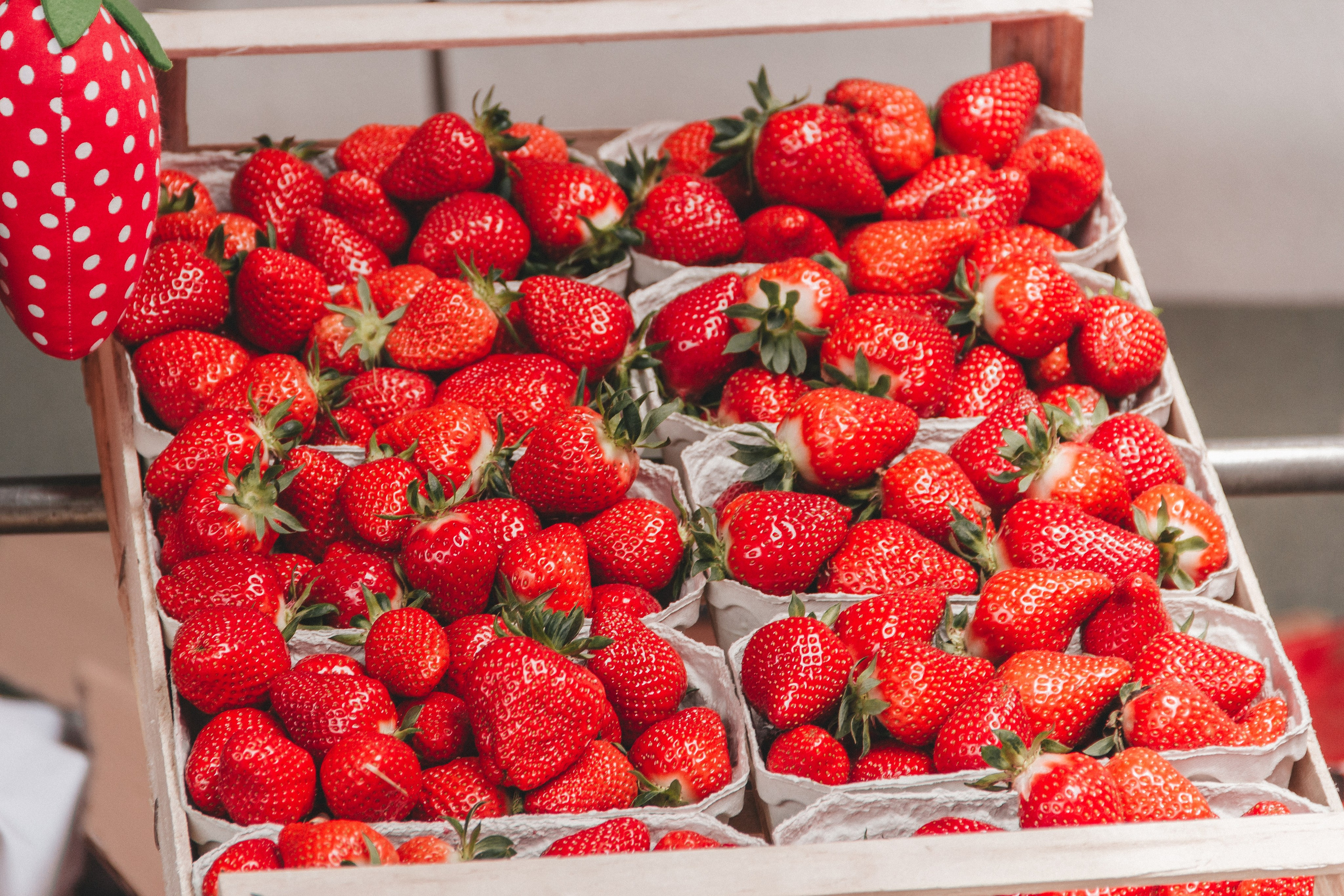 Oberkircher Erdbeerfest. Maria Chistyakovа — Fotografin in Karlsruhe, Baden-Baden und Umgebung