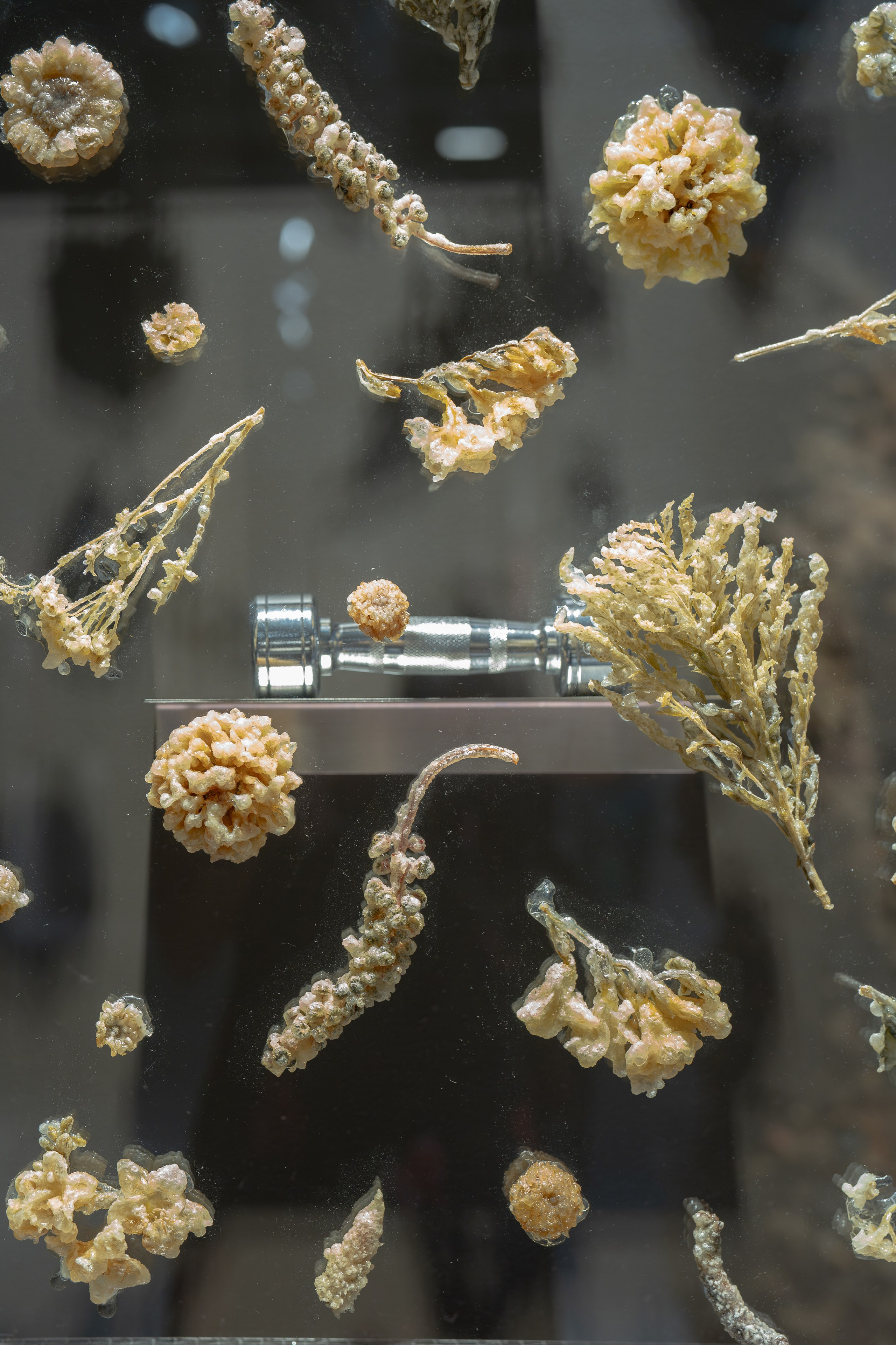 ART Basel Qatar 2026. Family & fashion photographer in Doha