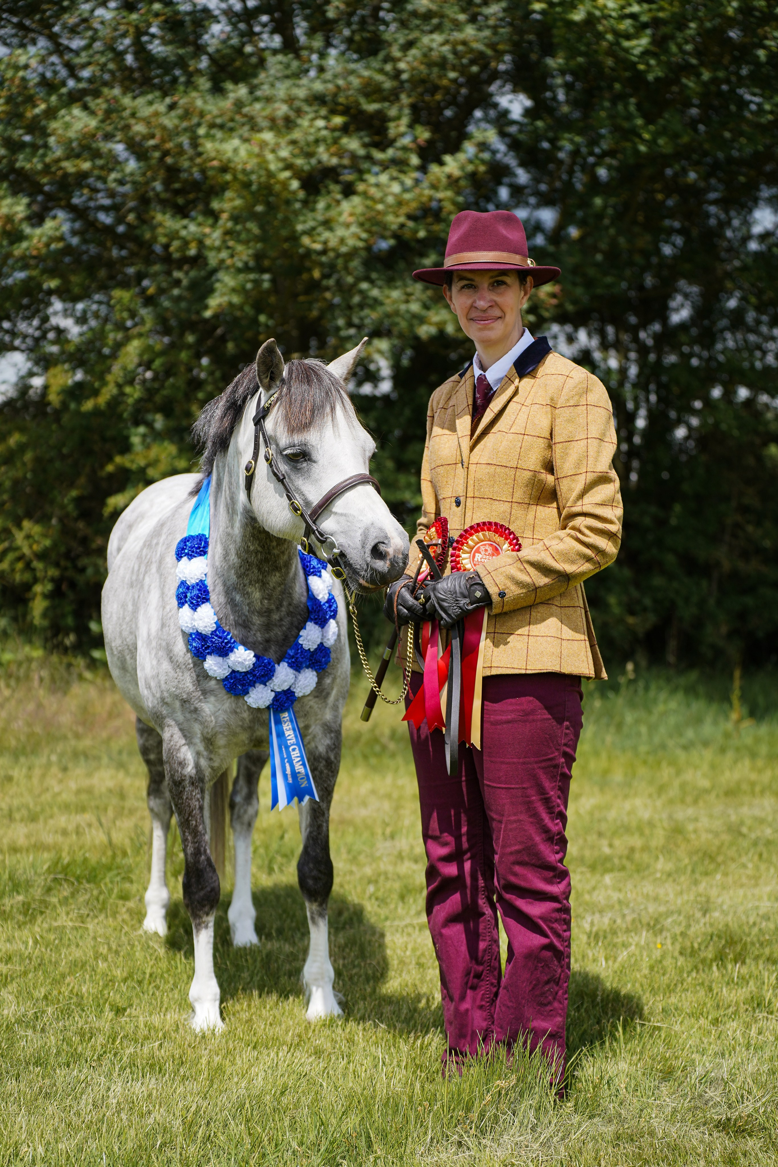 Showing. Leicestershire Equine Photography by El | Authentic Equine Portraits & Events