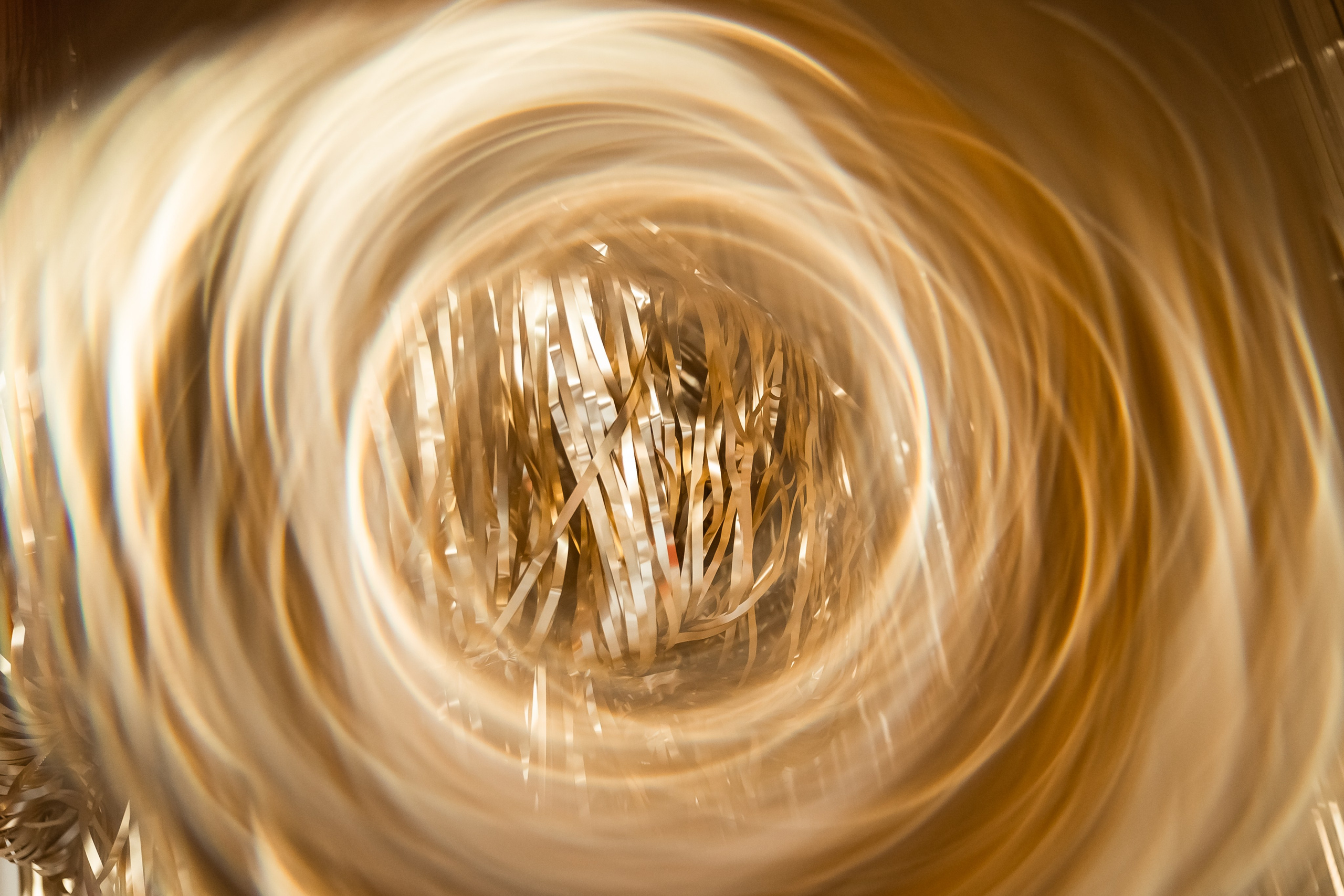 Коледа 2023-24. Фотограф Ирина Йотова