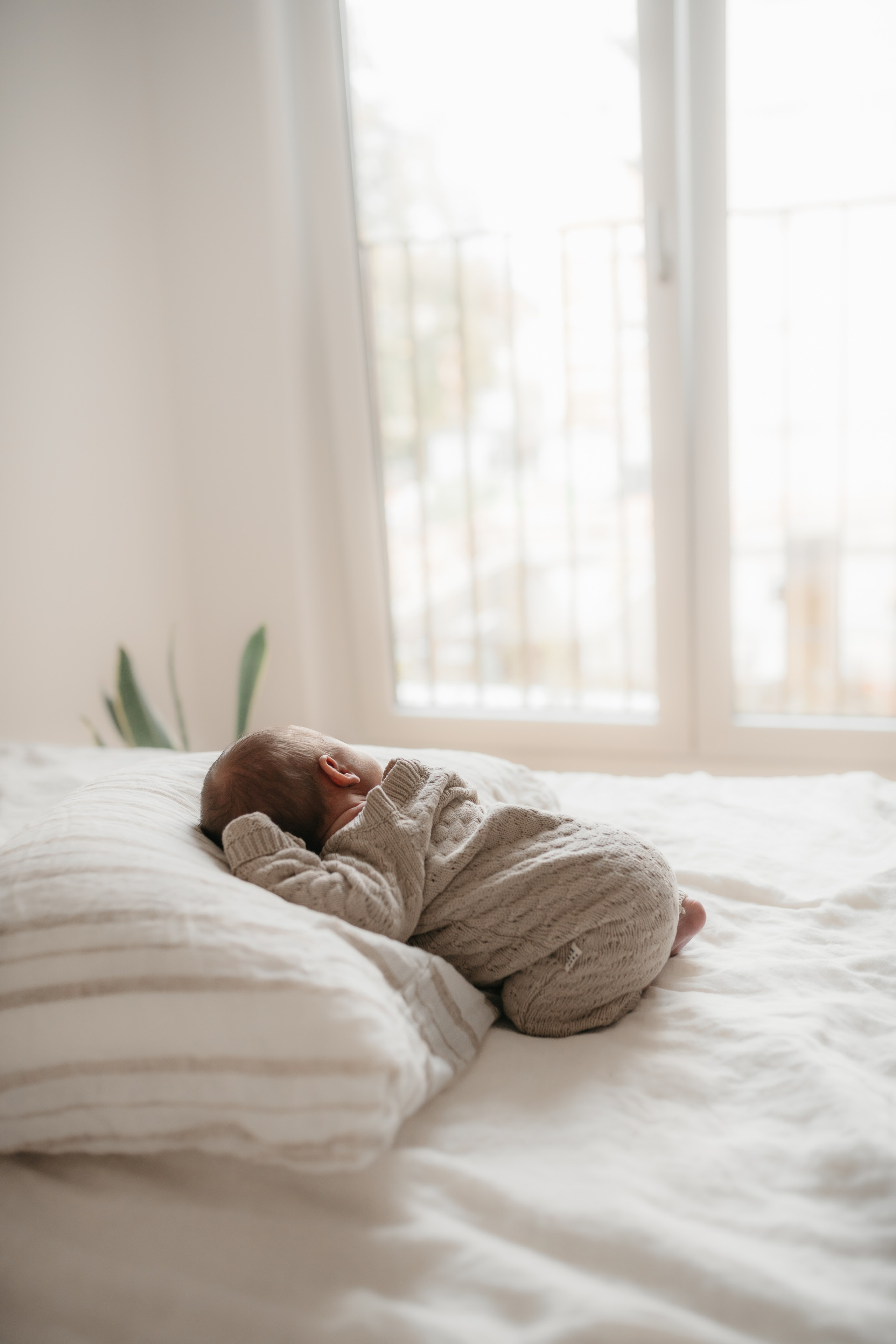 Newborn. Familien- und Kinderfotografin Katerina Vlasenko, München