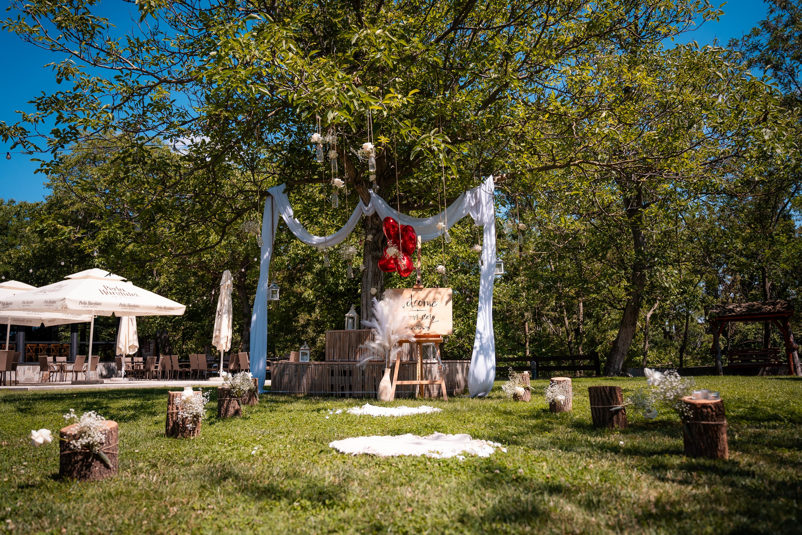 Cununie Mirela & Carol