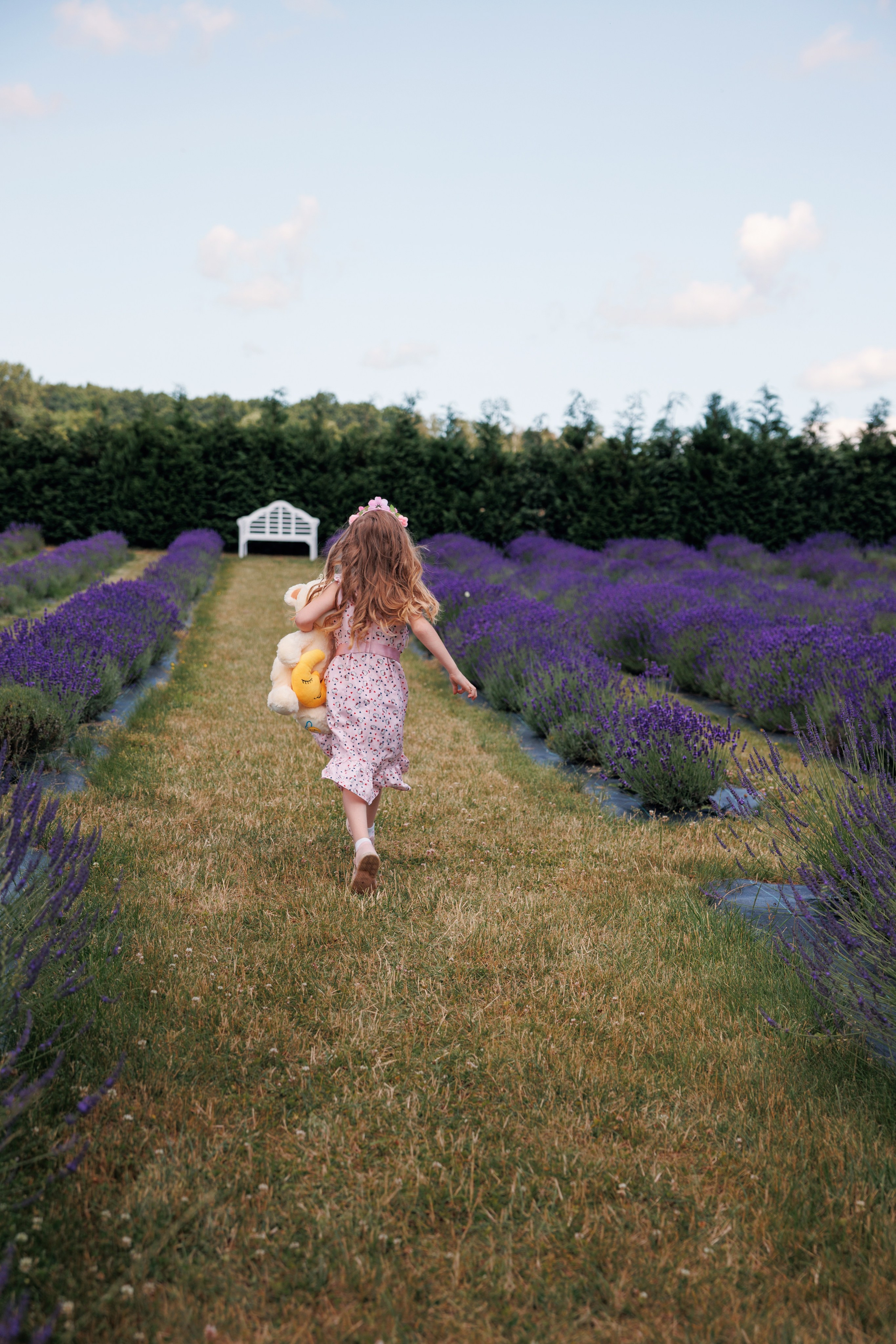 Lawenda. Anna Rudnichenko Fotograf Szczecin / Анна Рудніченко Фотограф Щецин