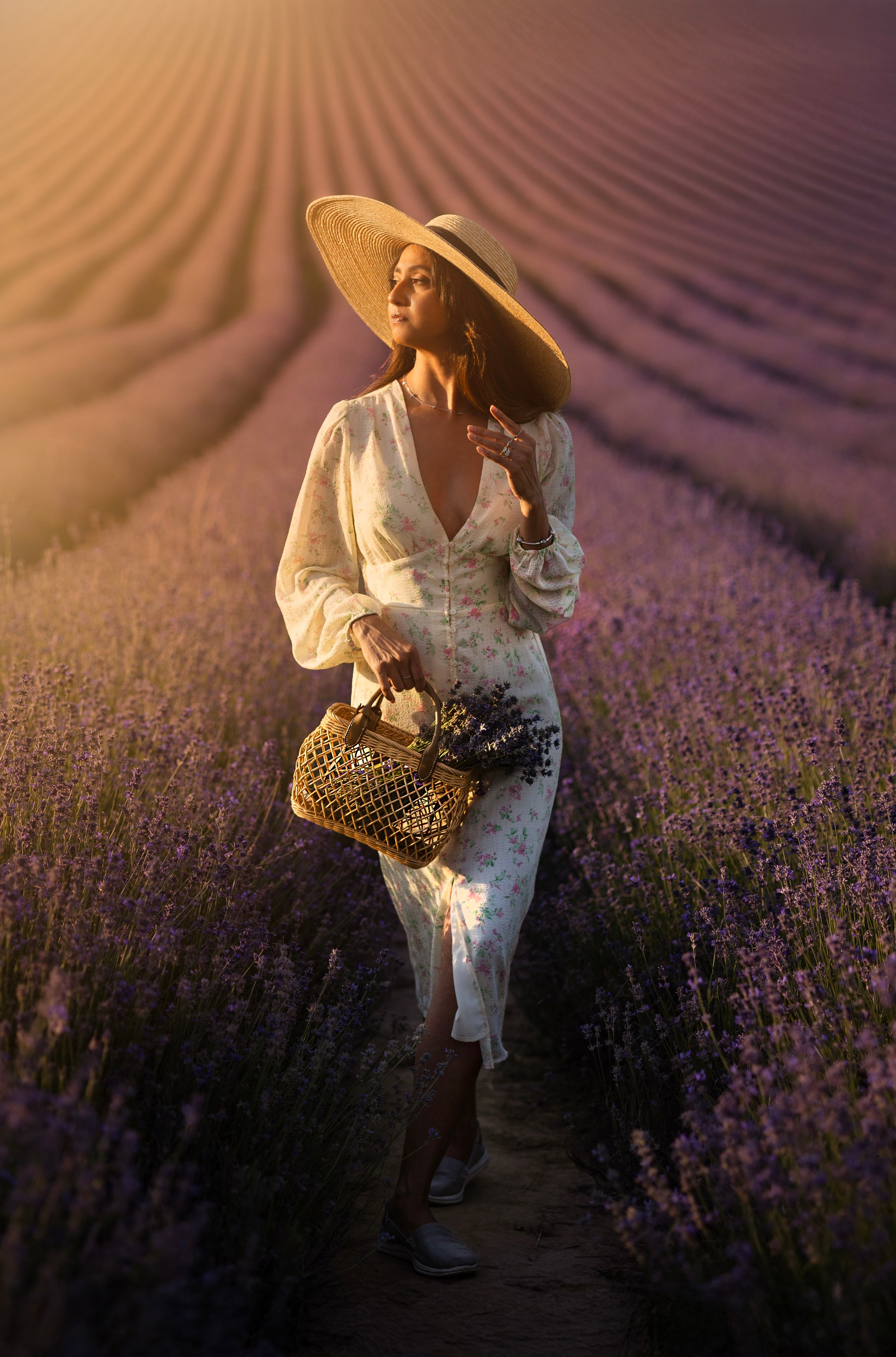 Lavendel. Photographer in Munich