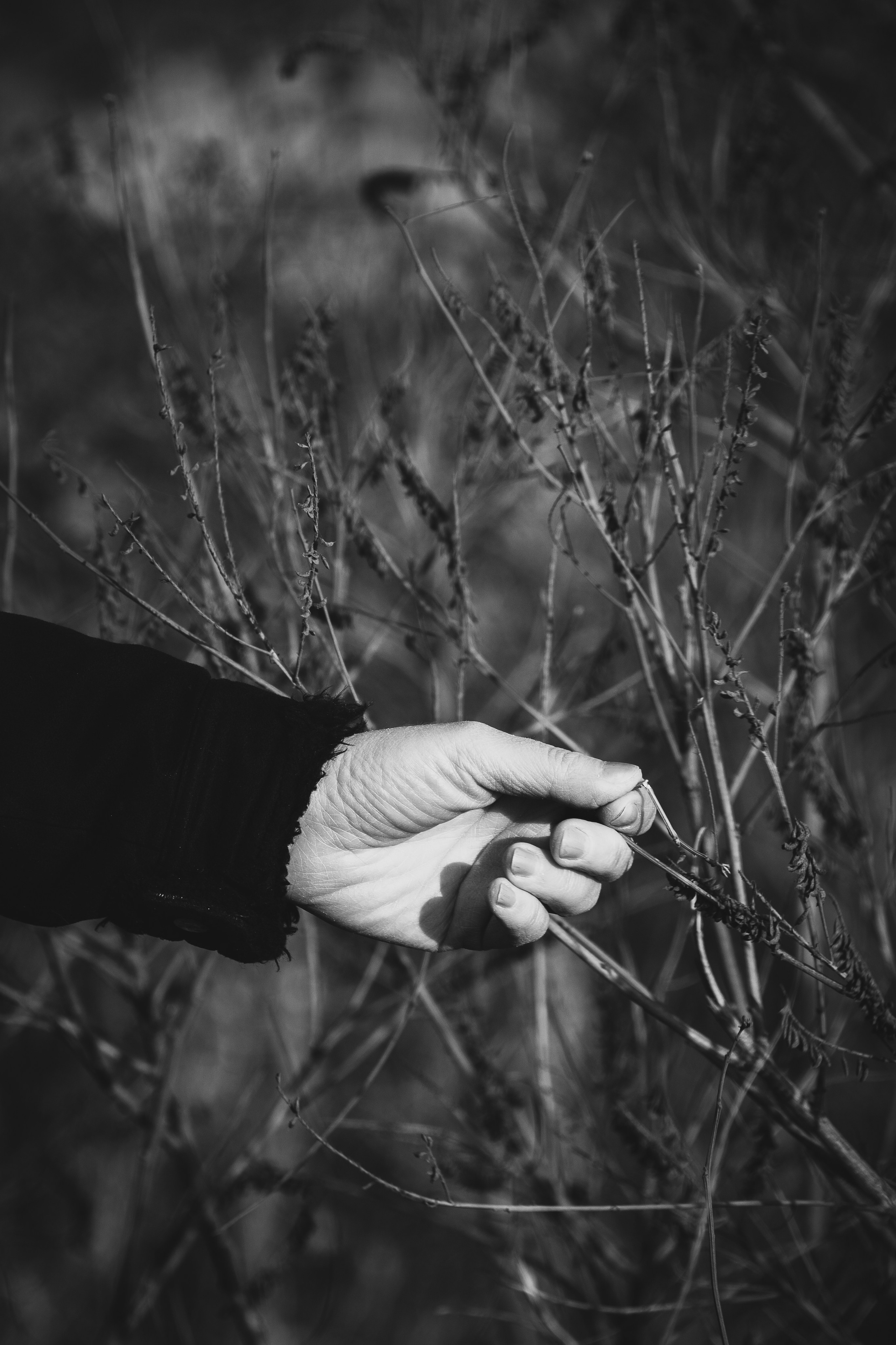 Фотограф в Ереване